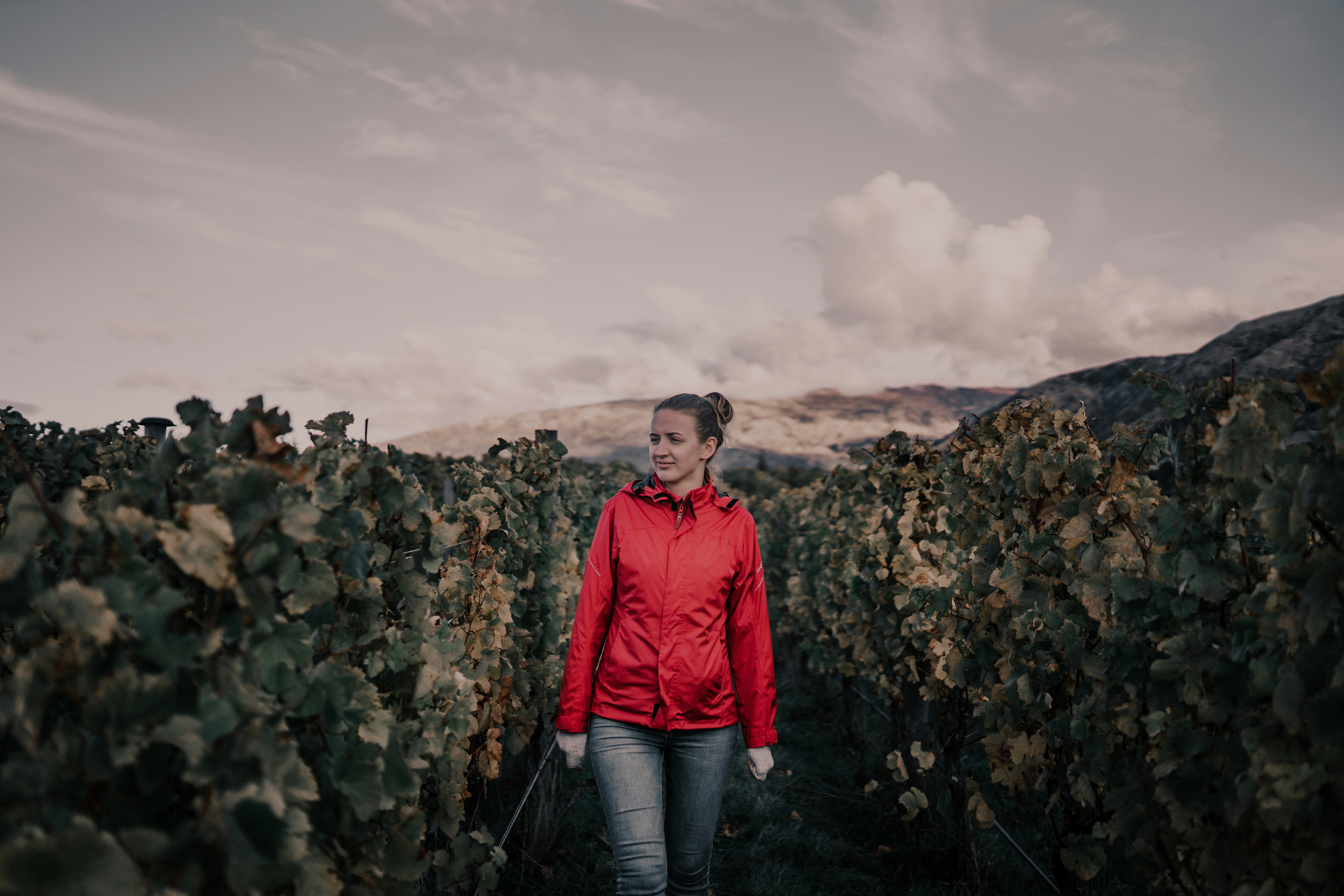 a person standing on a mountain