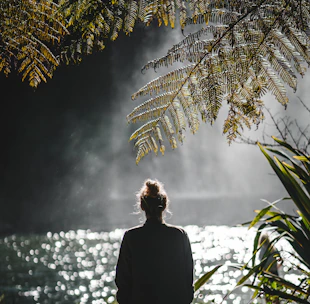 a man looking at a tree