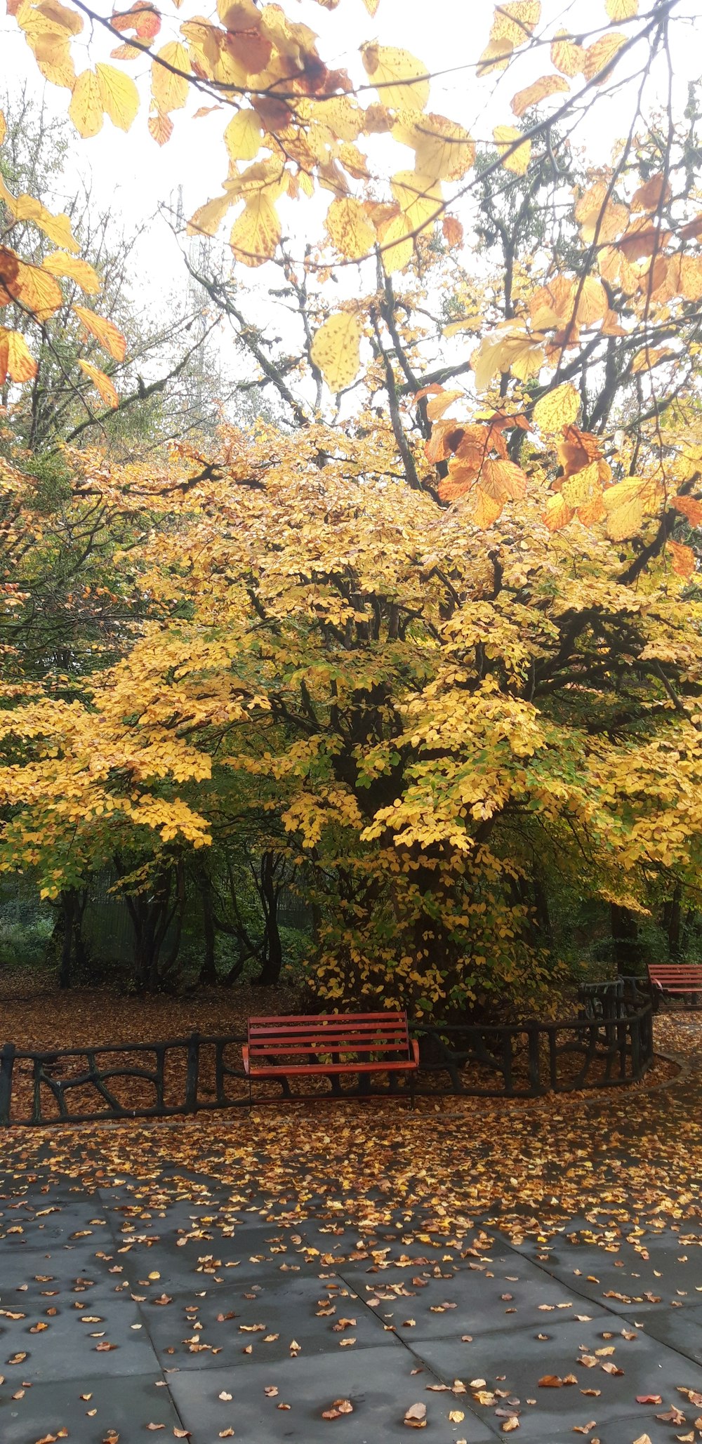 a bench in a park