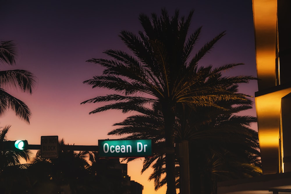a street sign next to a palm tree