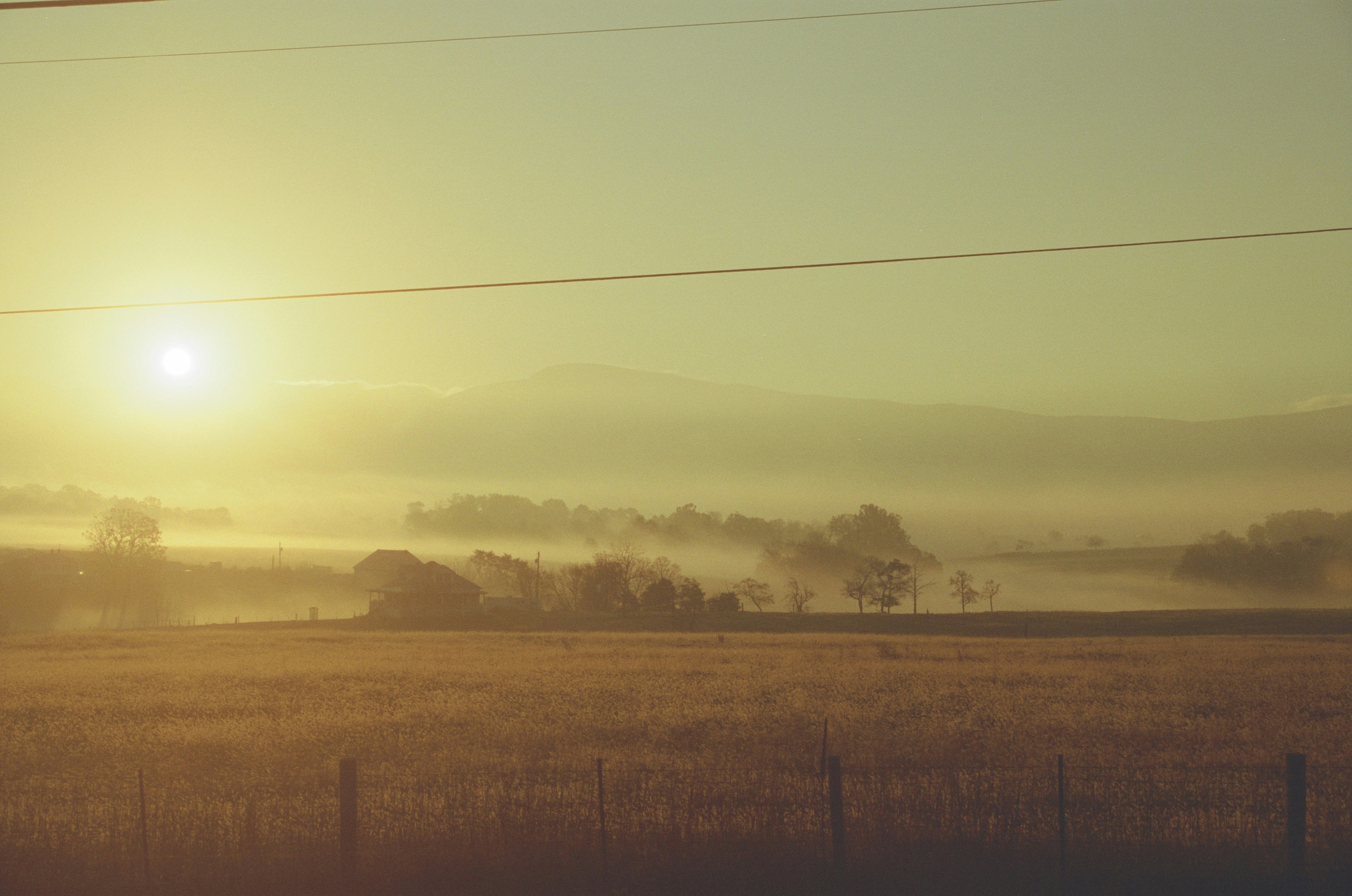 Photo by codymanning22