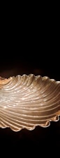 A sleek modern glass accessory displayed elegantly.