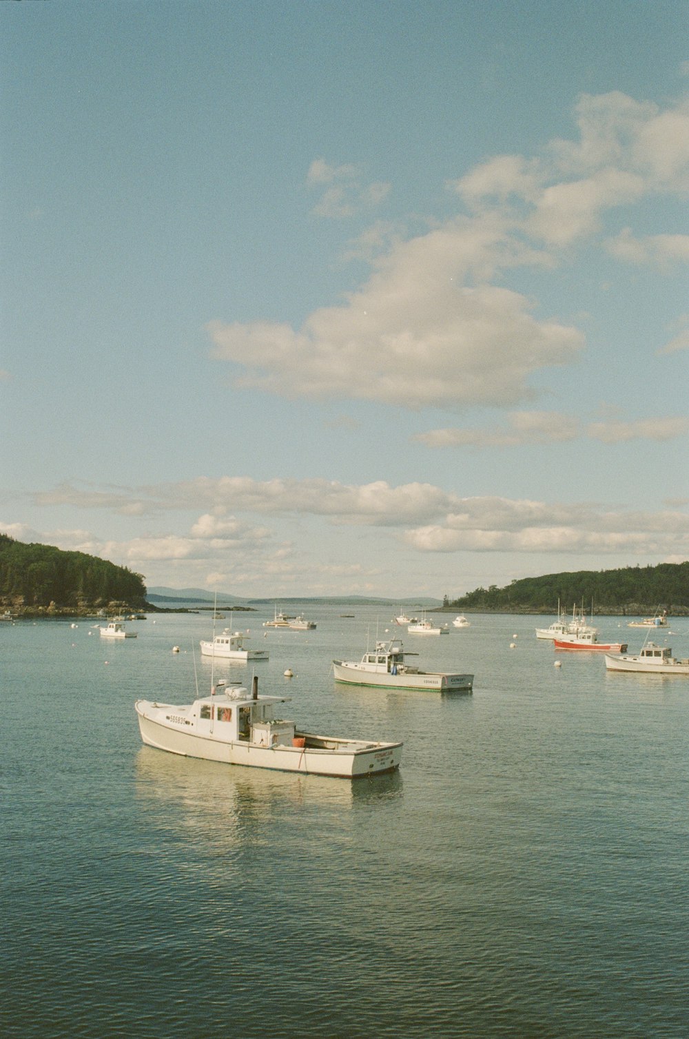a group of boats on a body of water