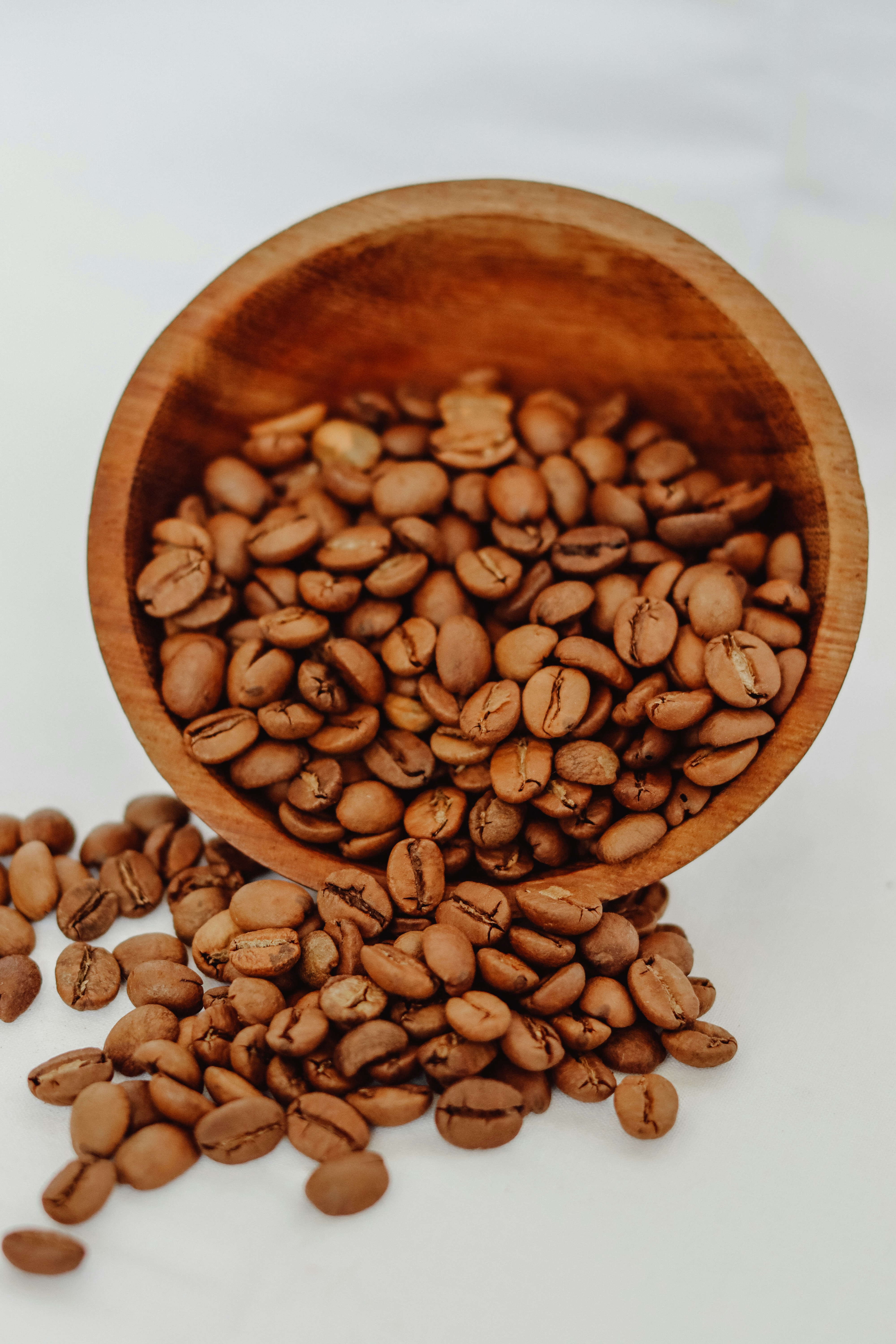 Photo by seydanuryuce