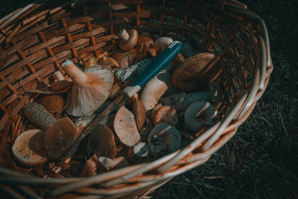a basket of mushrooms