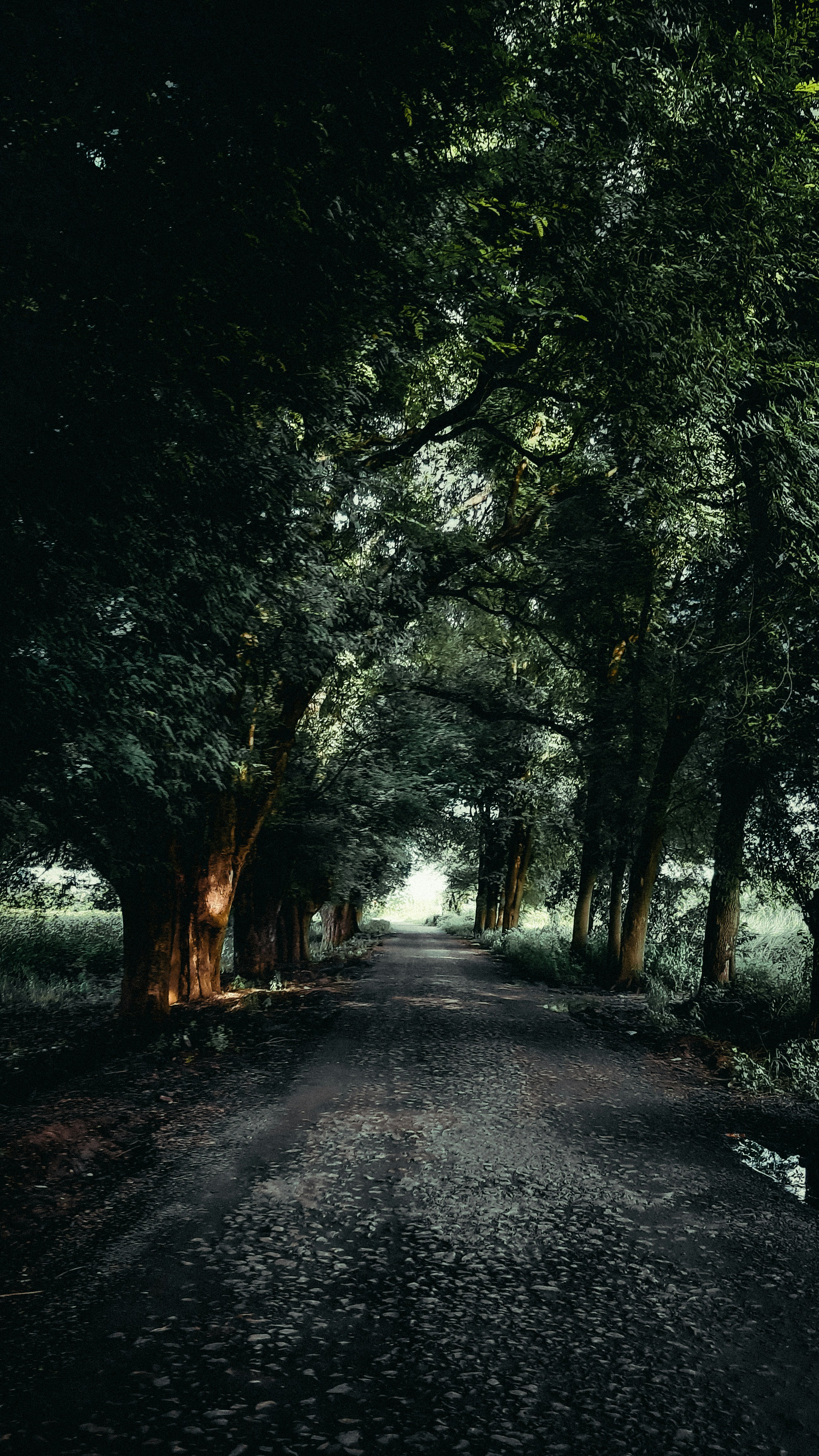 Photo by abhijeetgaikwad10