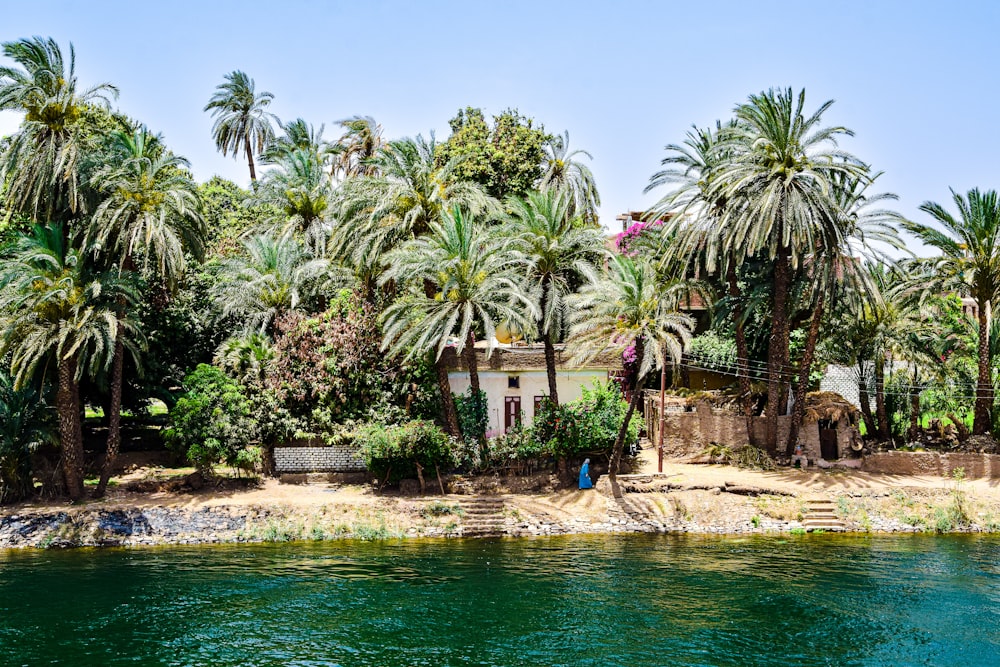 a building with palm trees and a body of water