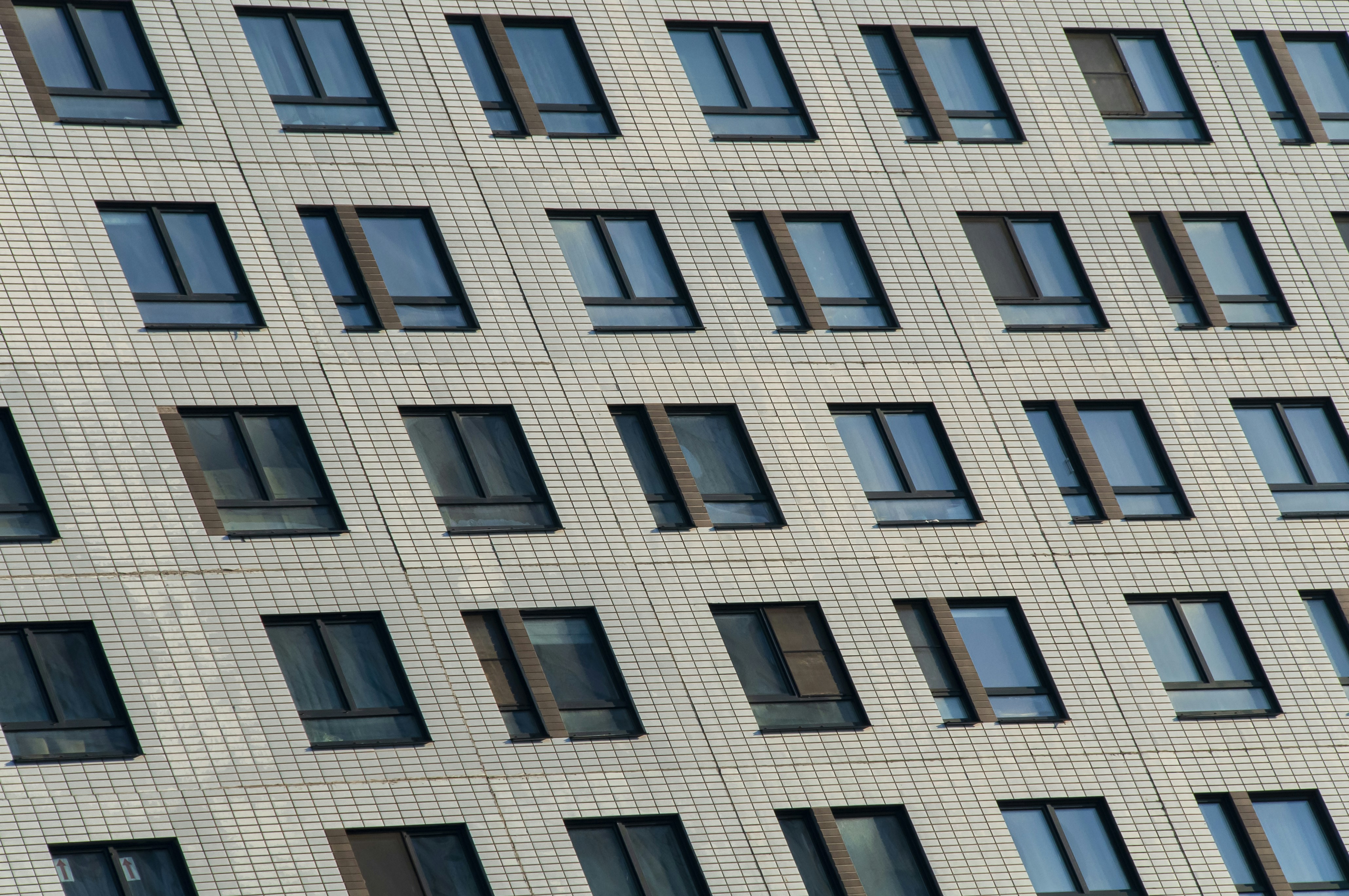 Photo by nikkitenkos