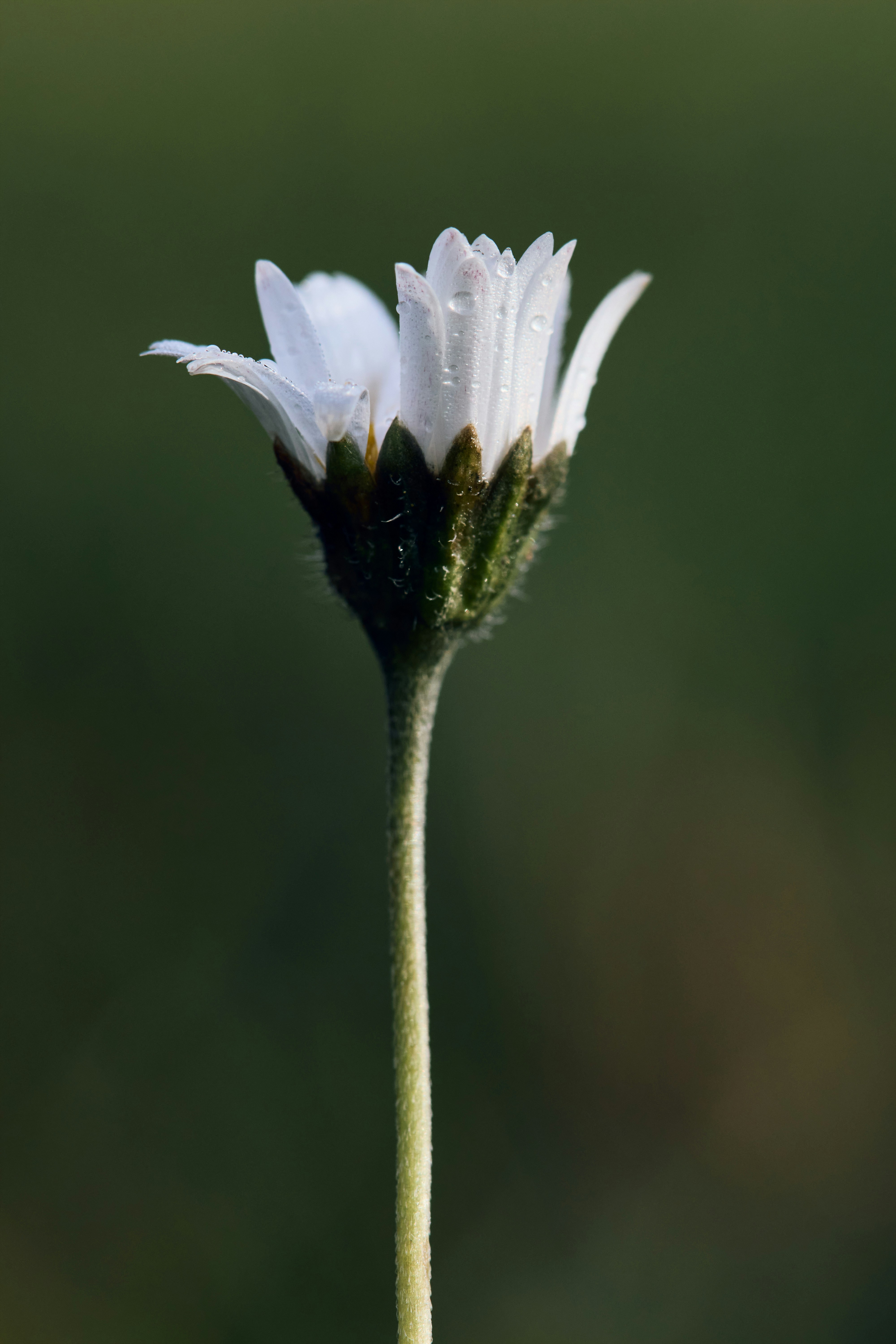 Photo by einthomas