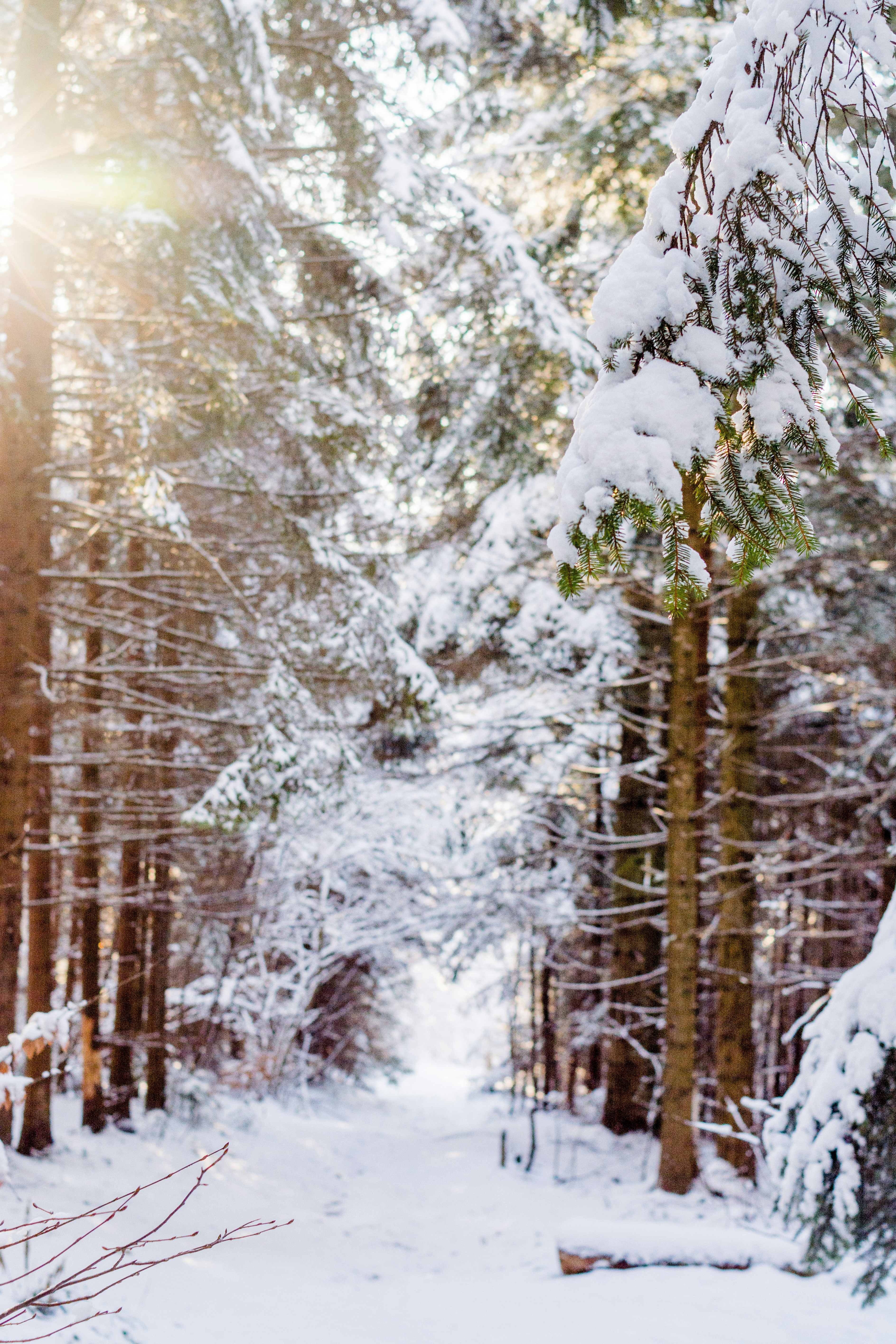 Photo by eugenivy_now