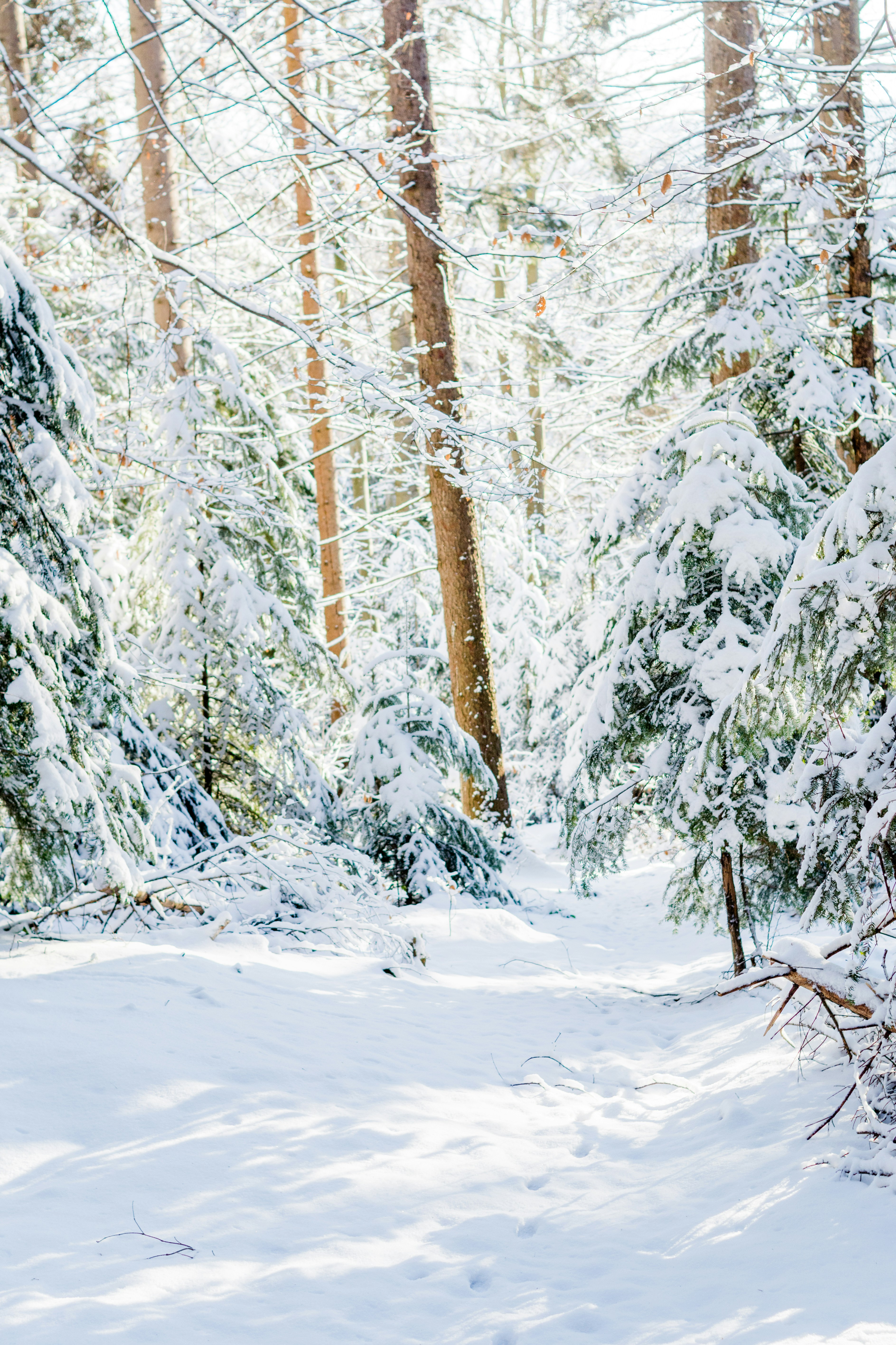 Photo by eugenivy_now