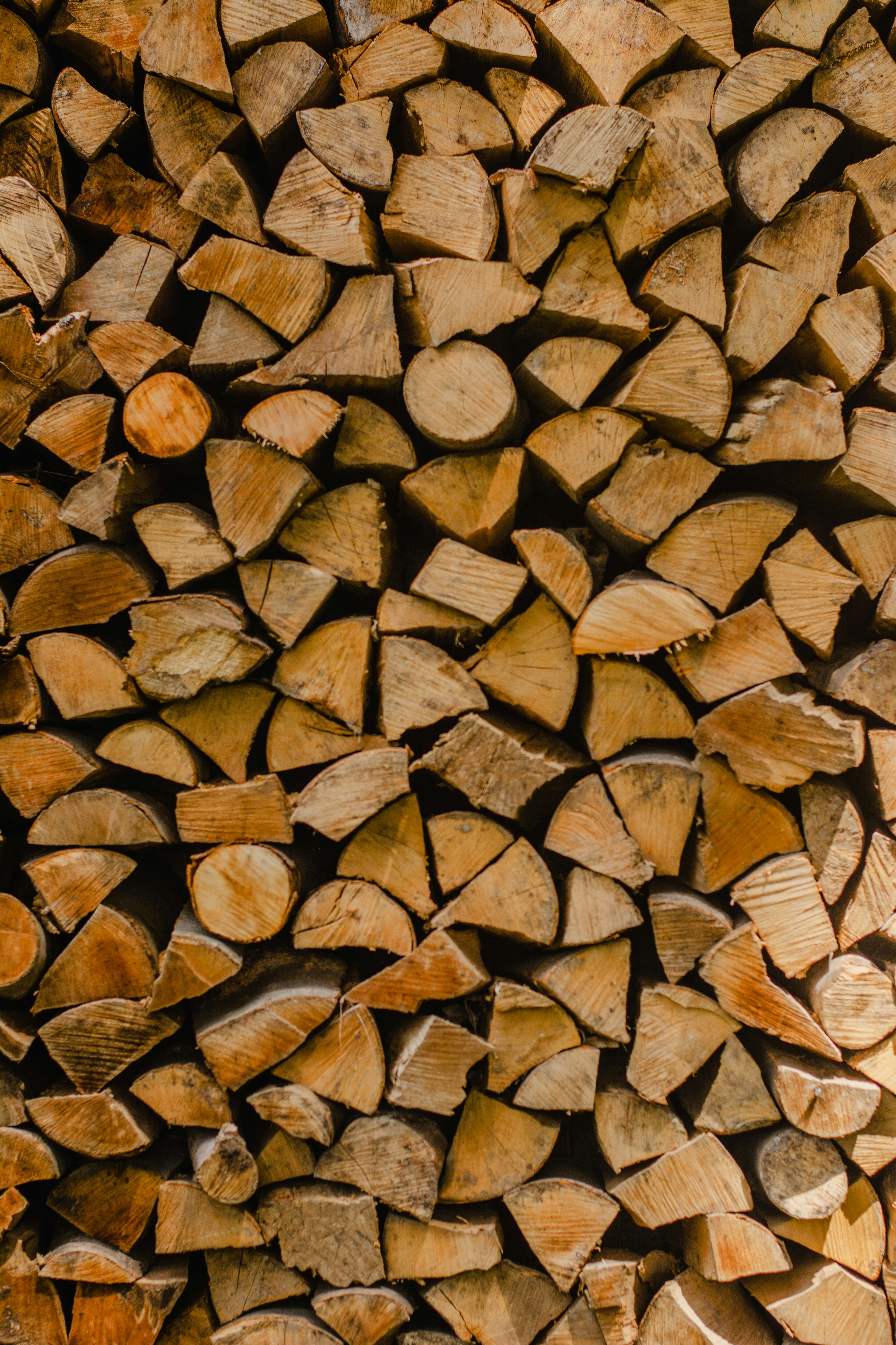a pile of cut logs