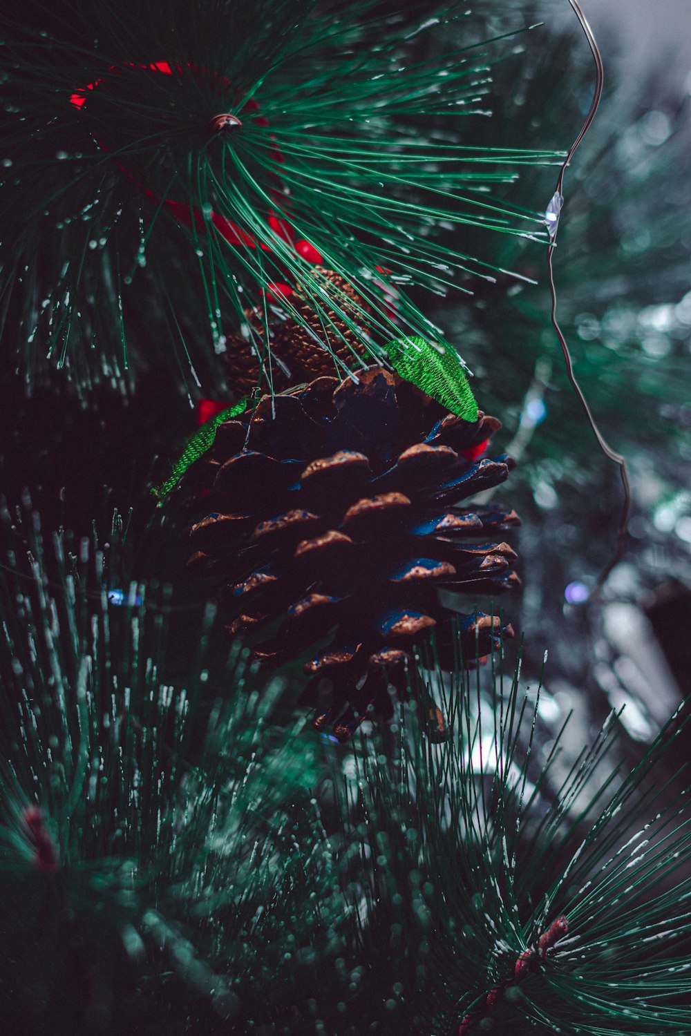 a close up of a pine tree