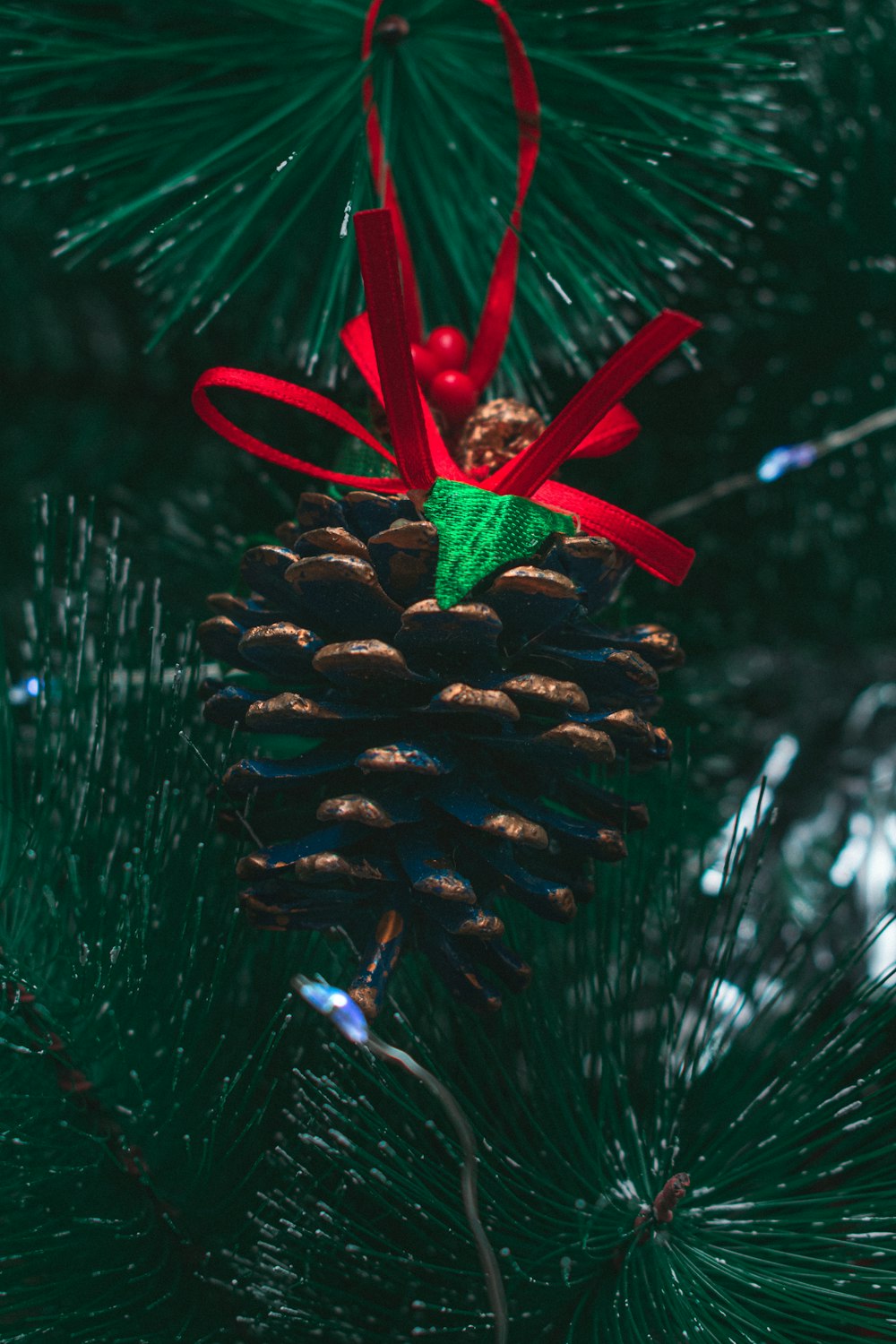 a pine cone on a tree