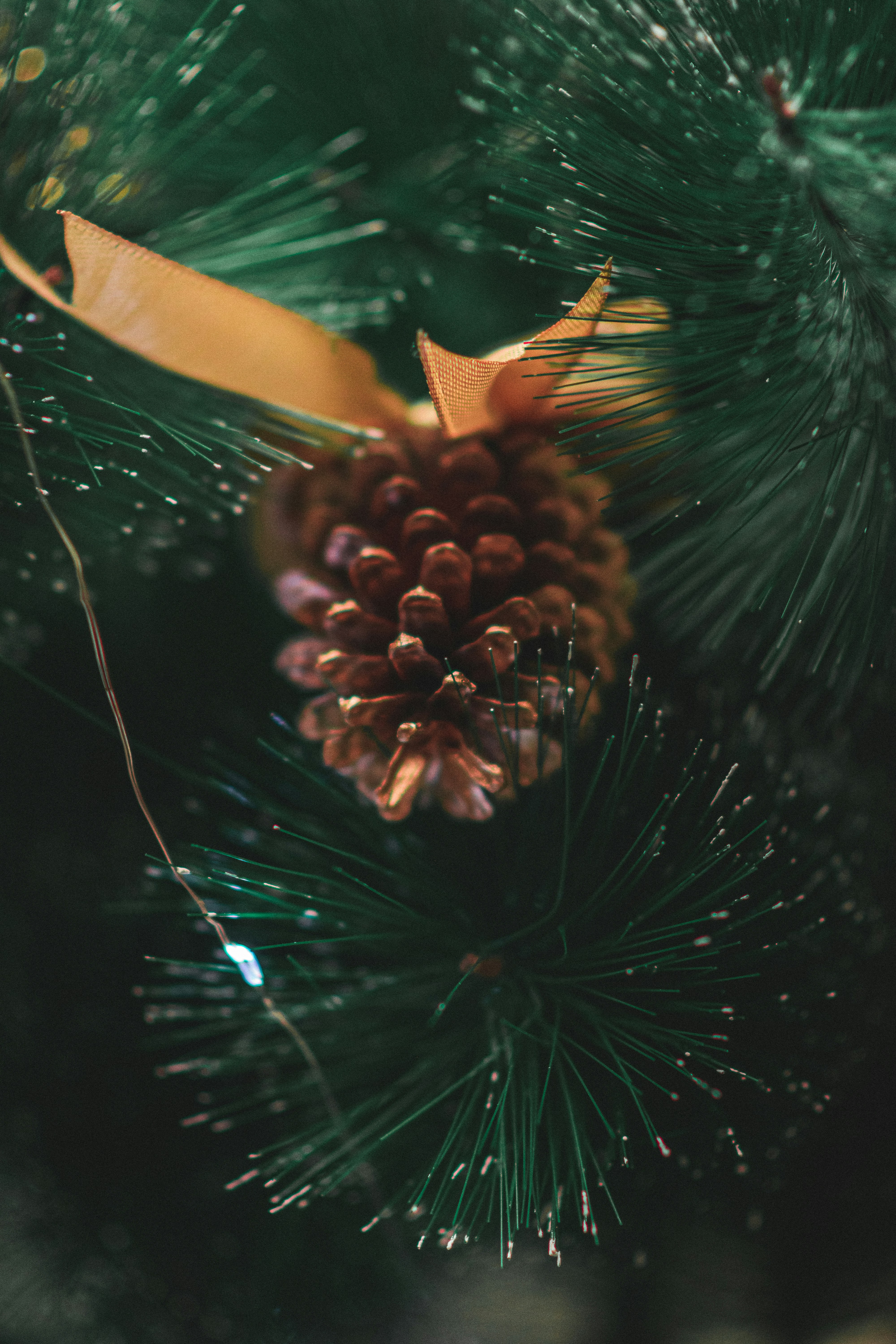 Lusaka – Safety, Health & Local Etiquette