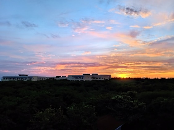 A vibrant Minecraft landscape showcasing players building together under a sunset sky.