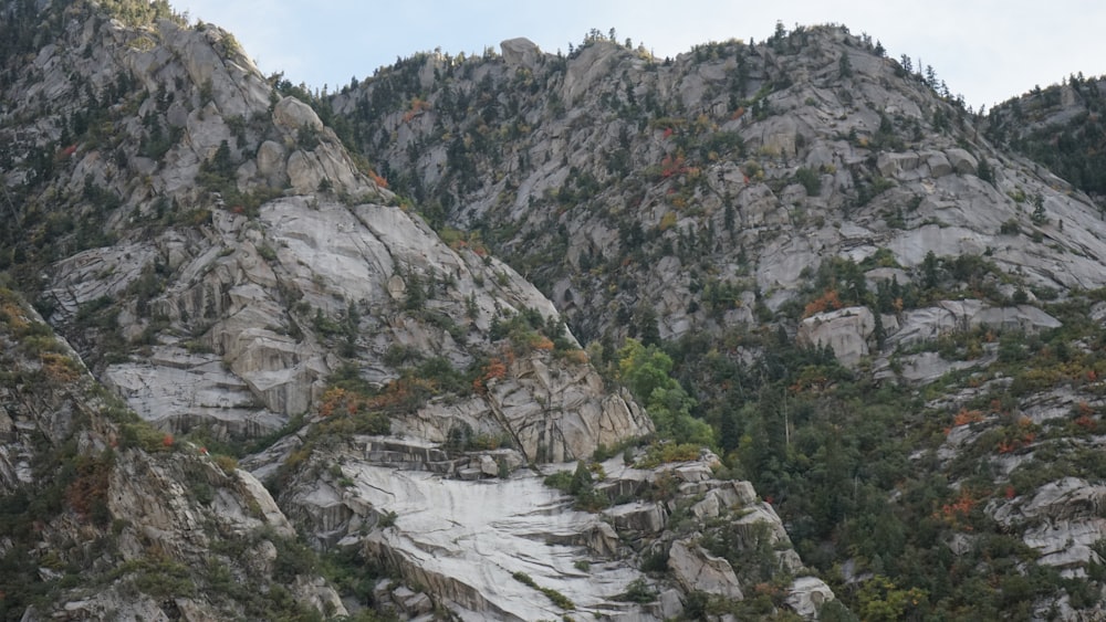 una ladera de montaña rocosa