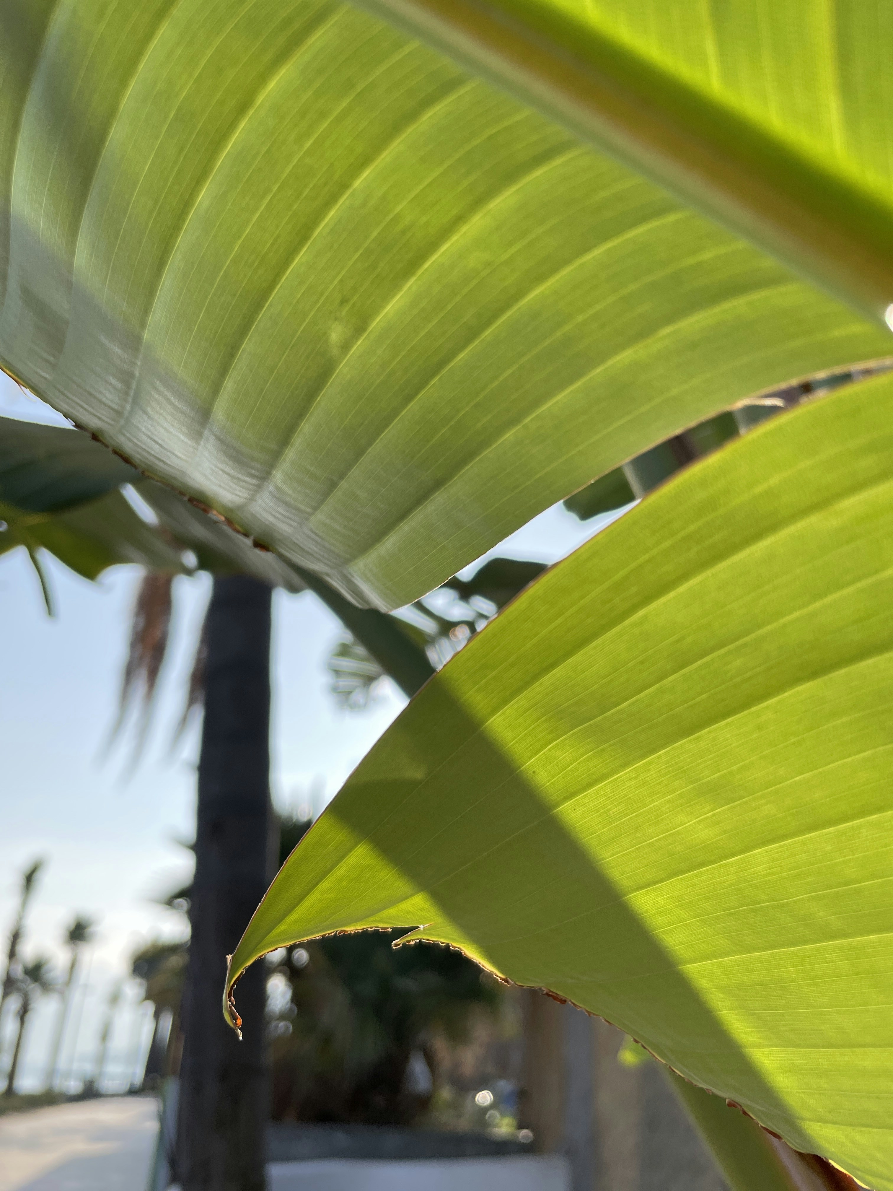 Photo by stash_anykey