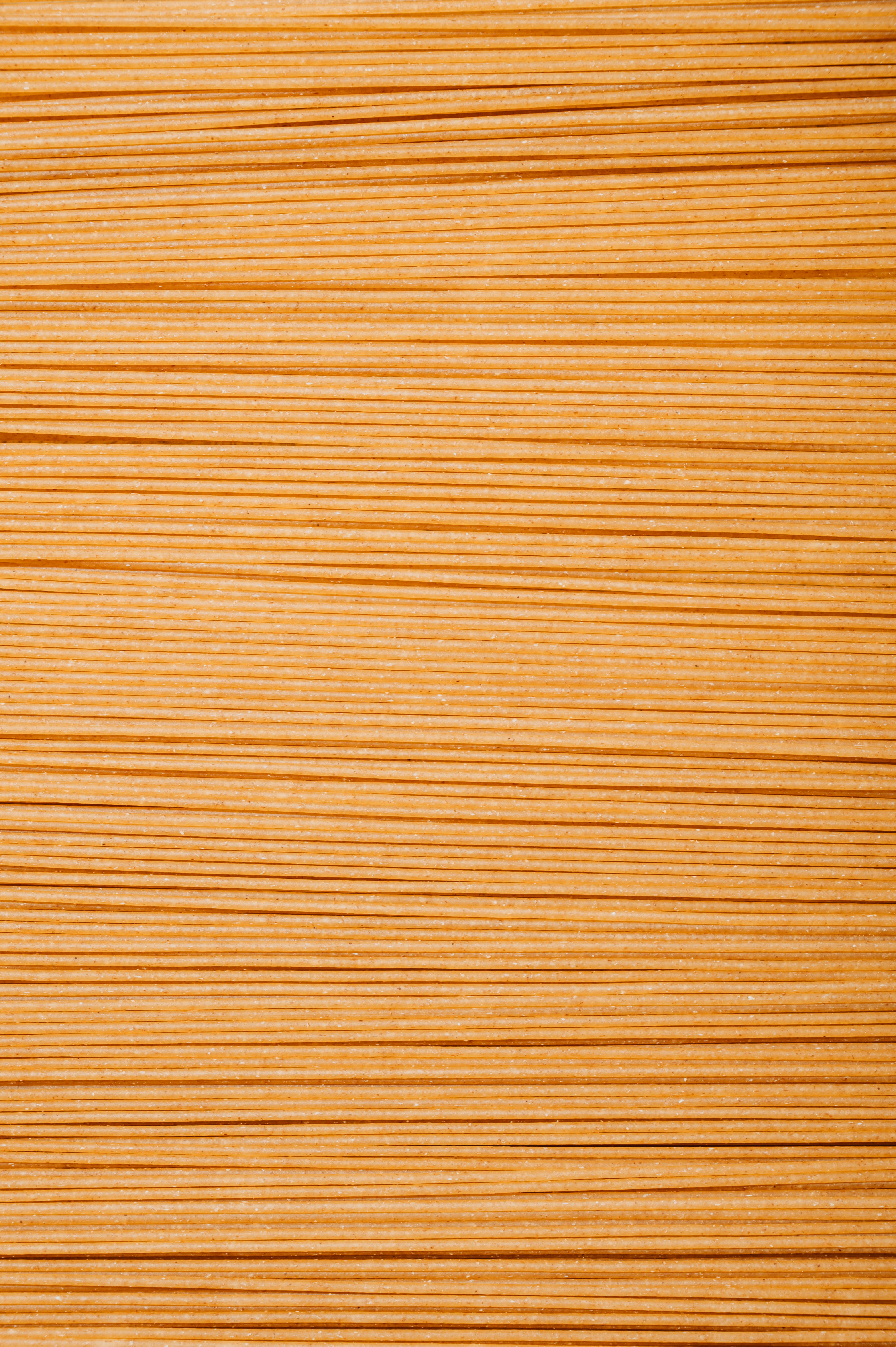 Photo by virginiaphotostories