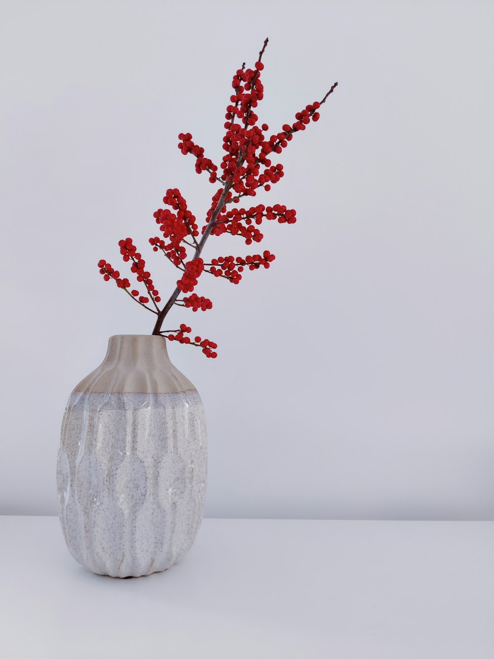 a vase with red flowers