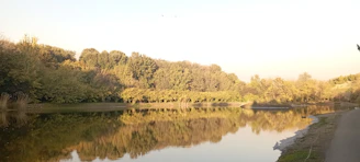 A peaceful lakeside trail framed by autumn trees, inviting a gentle walk.