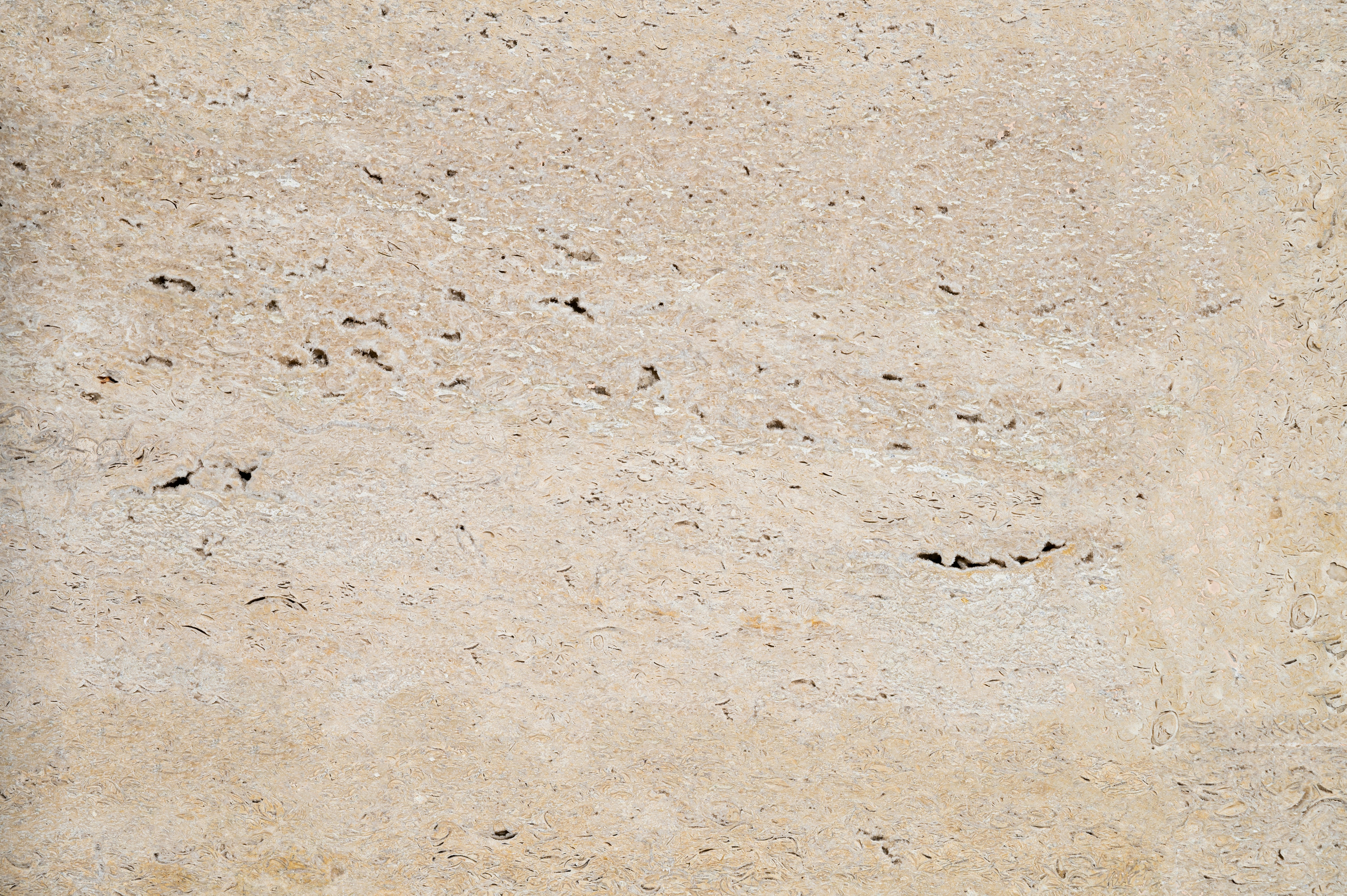 Photo by virginiaphotostories