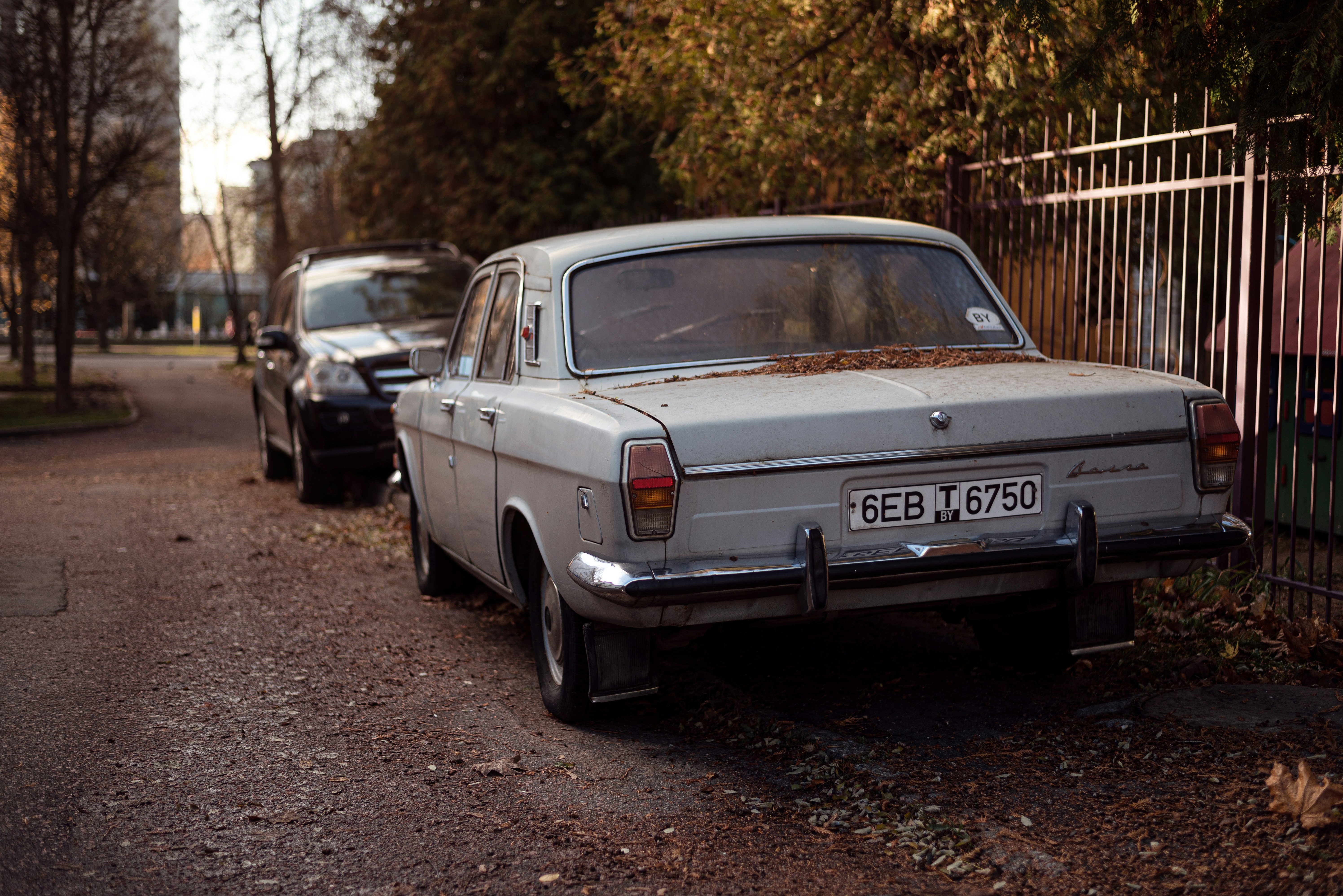 Photo by vadutskevich