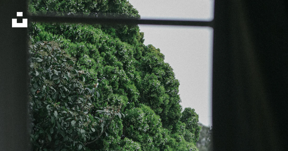 A tree outside a building photo – Free Small town Image on Unsplash