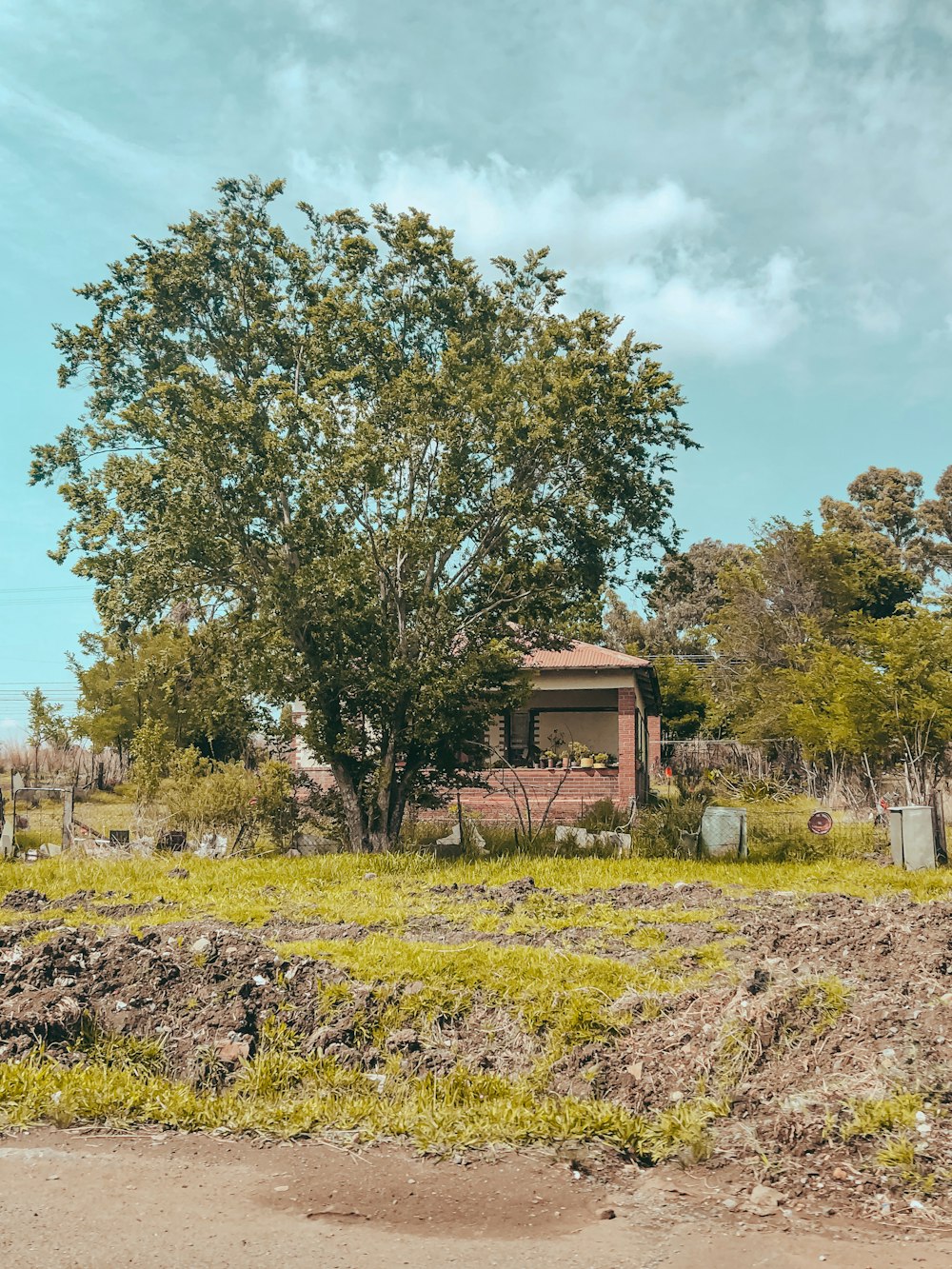 a tree in front of a house