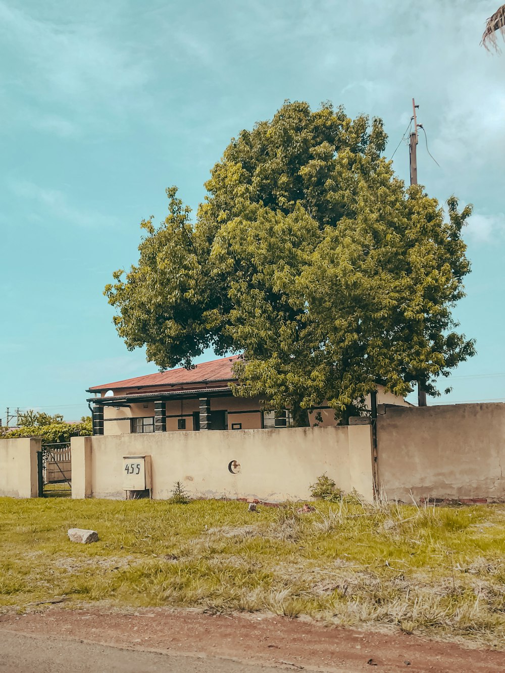 a tree in front of a building