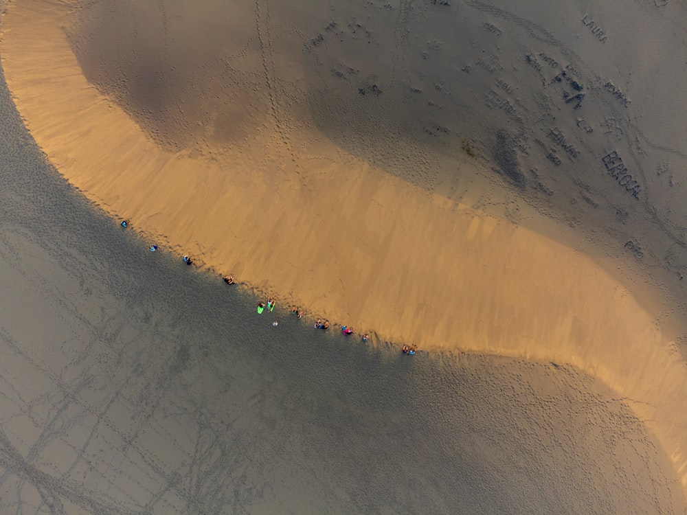 a group of people walking on a beach