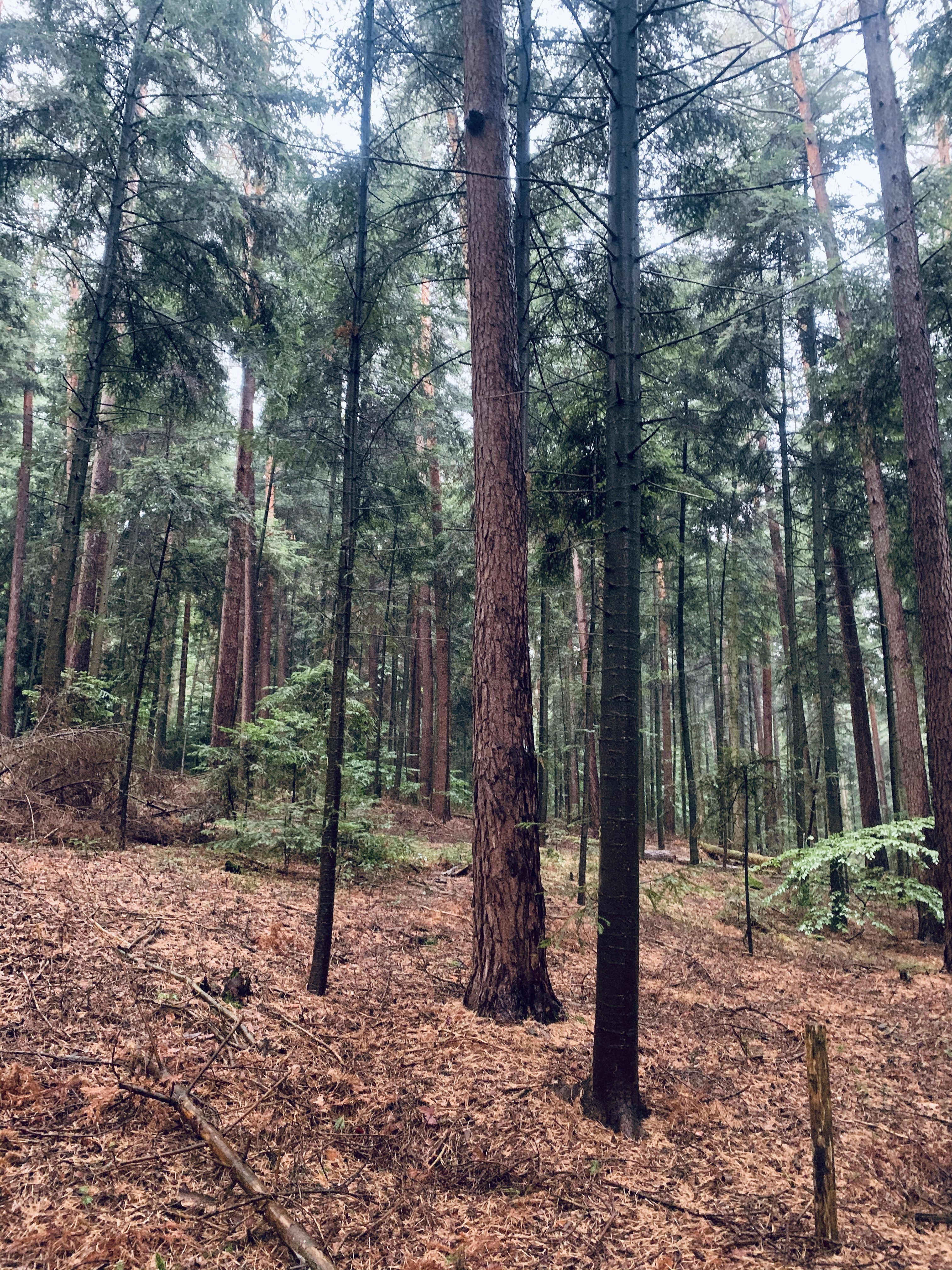 Photo by luckyphoto1