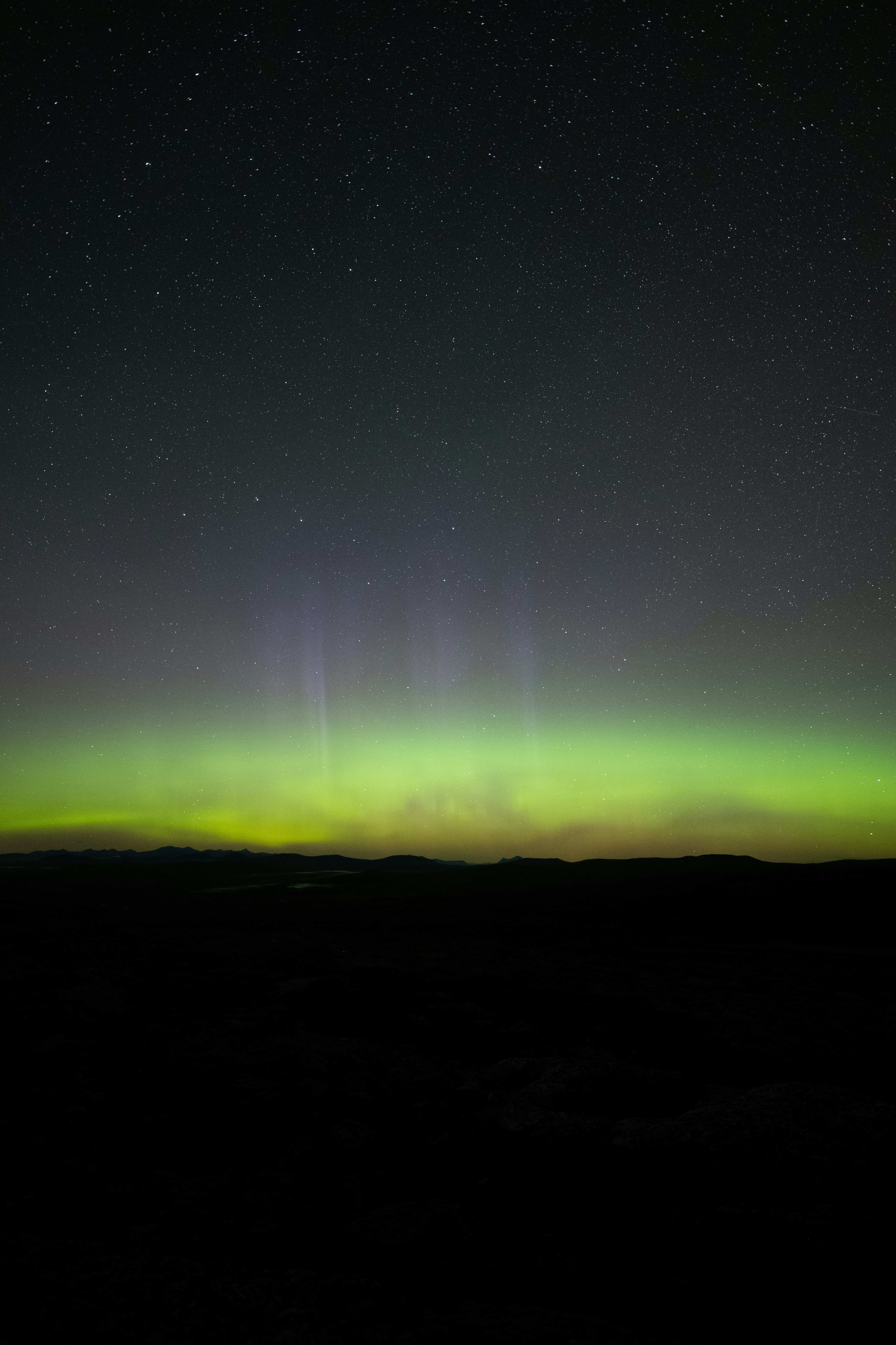 a green and purple aurora in the sky