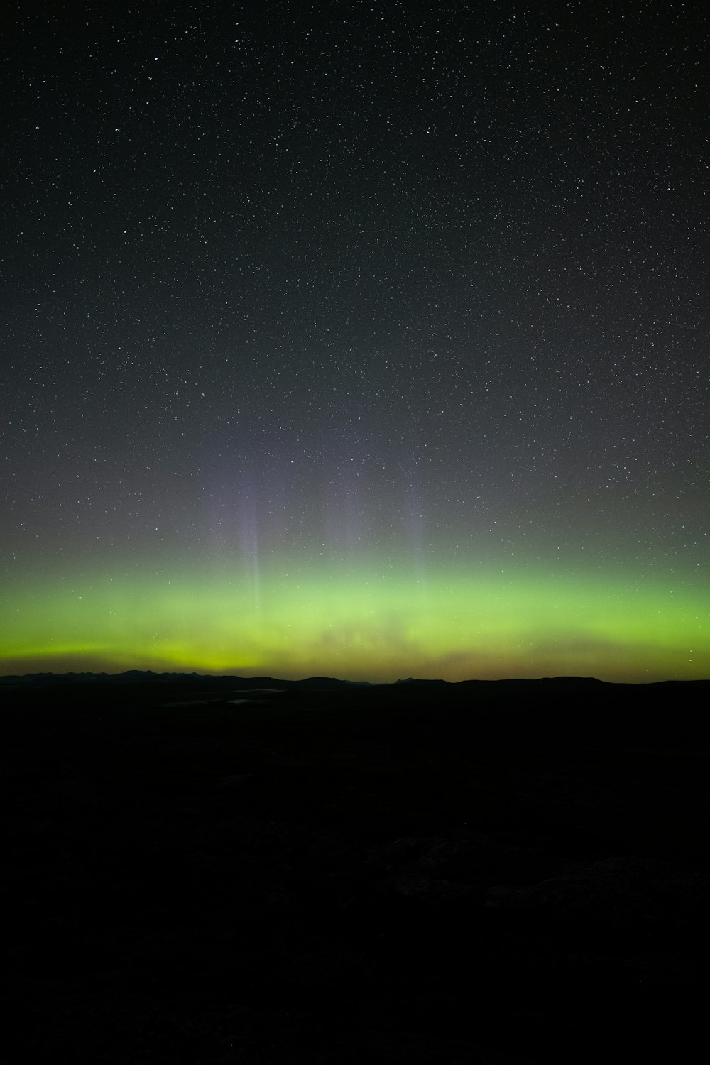 a green and purple aurora in the sky