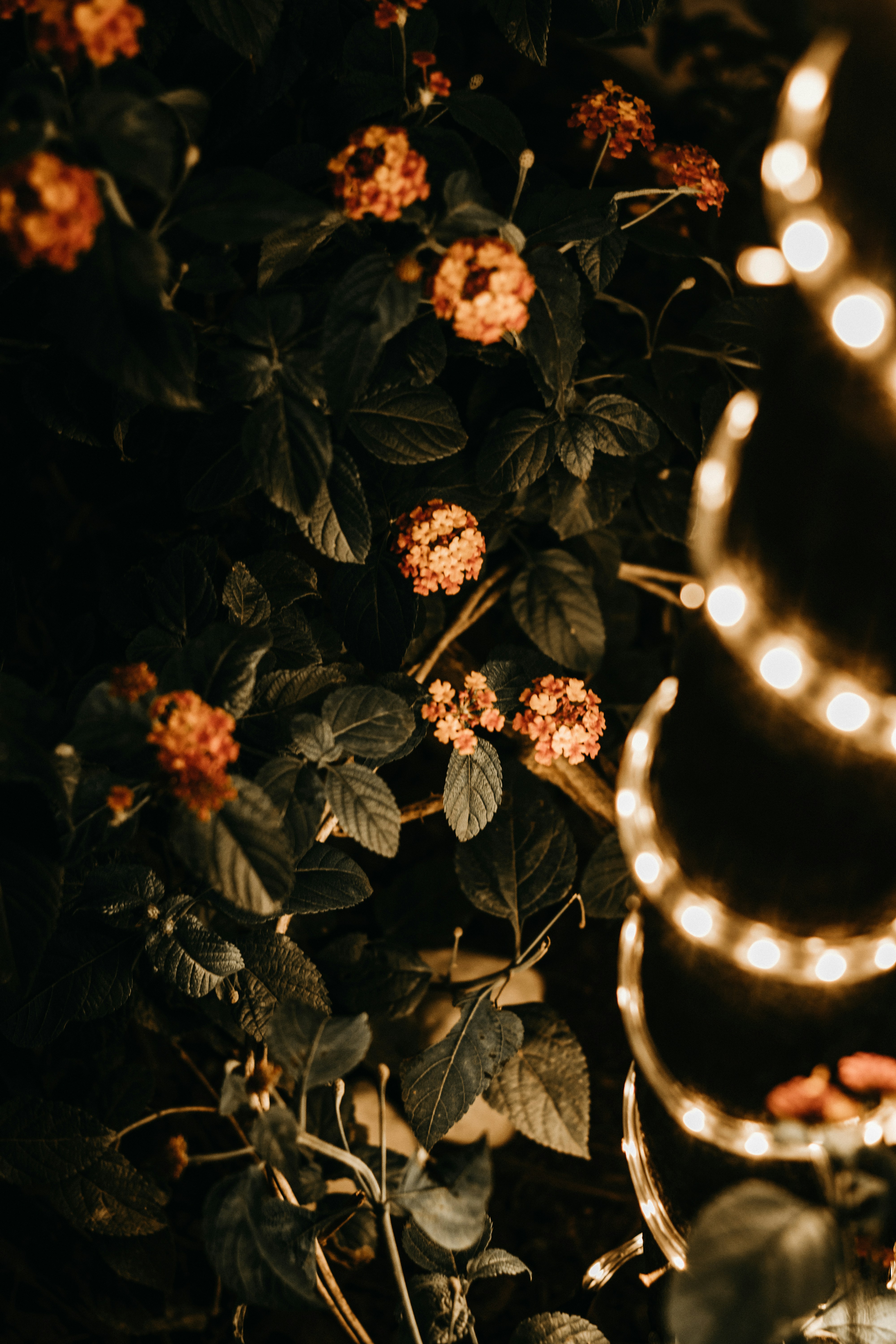 Photo by kawerodriguess