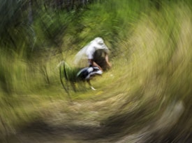 A motion-blurred figure appears to be crouching or moving in a dynamic environment dominated by green and yellow tones, suggesting a natural setting like a forest or grassland. The blurred effect creates a circular motion, adding a sense of speed or disorientation.
