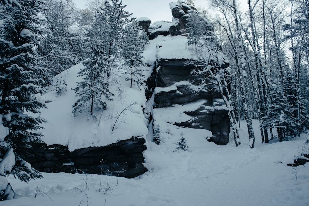 a snowy mountain side