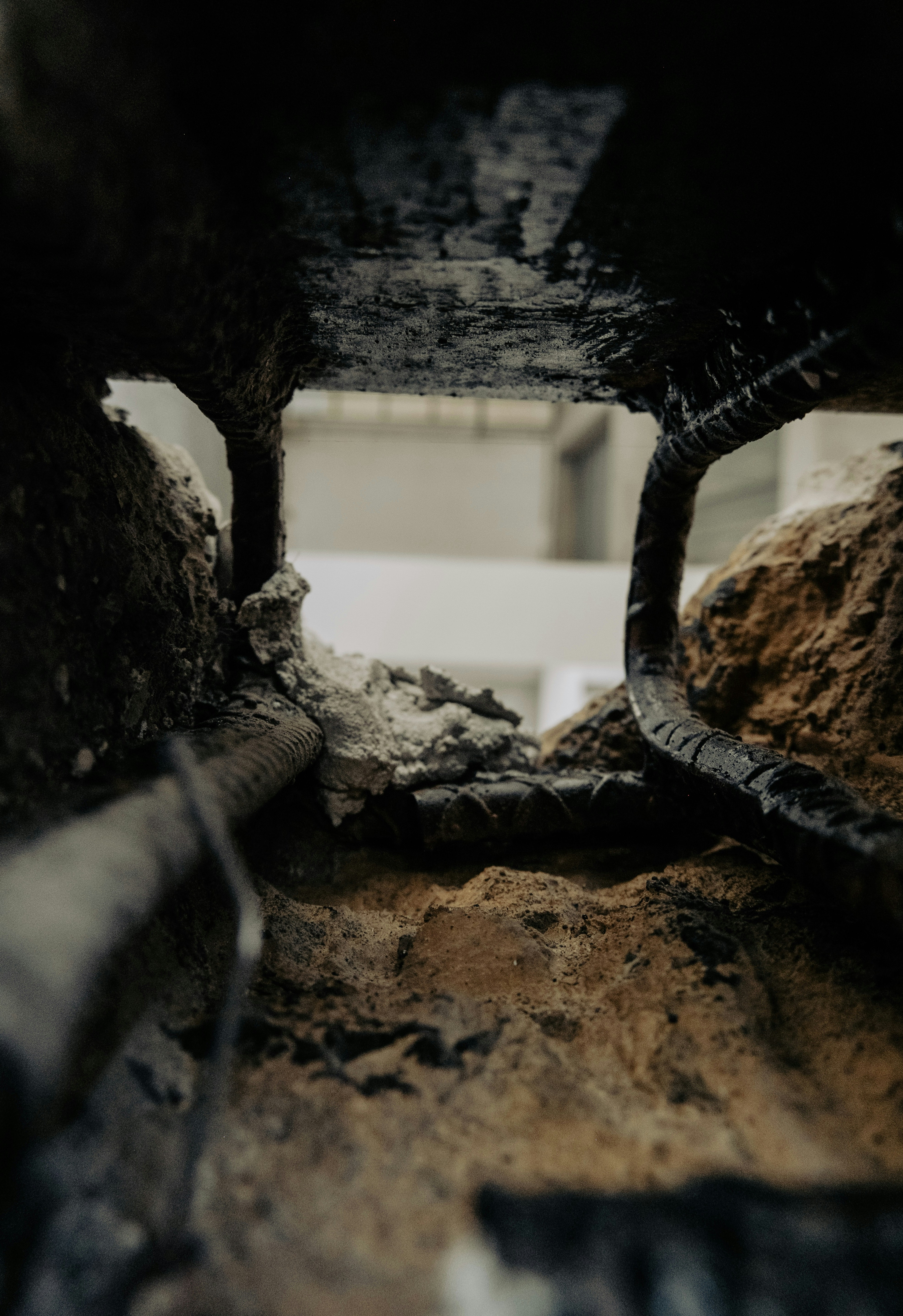 Photo by jamoandres2021