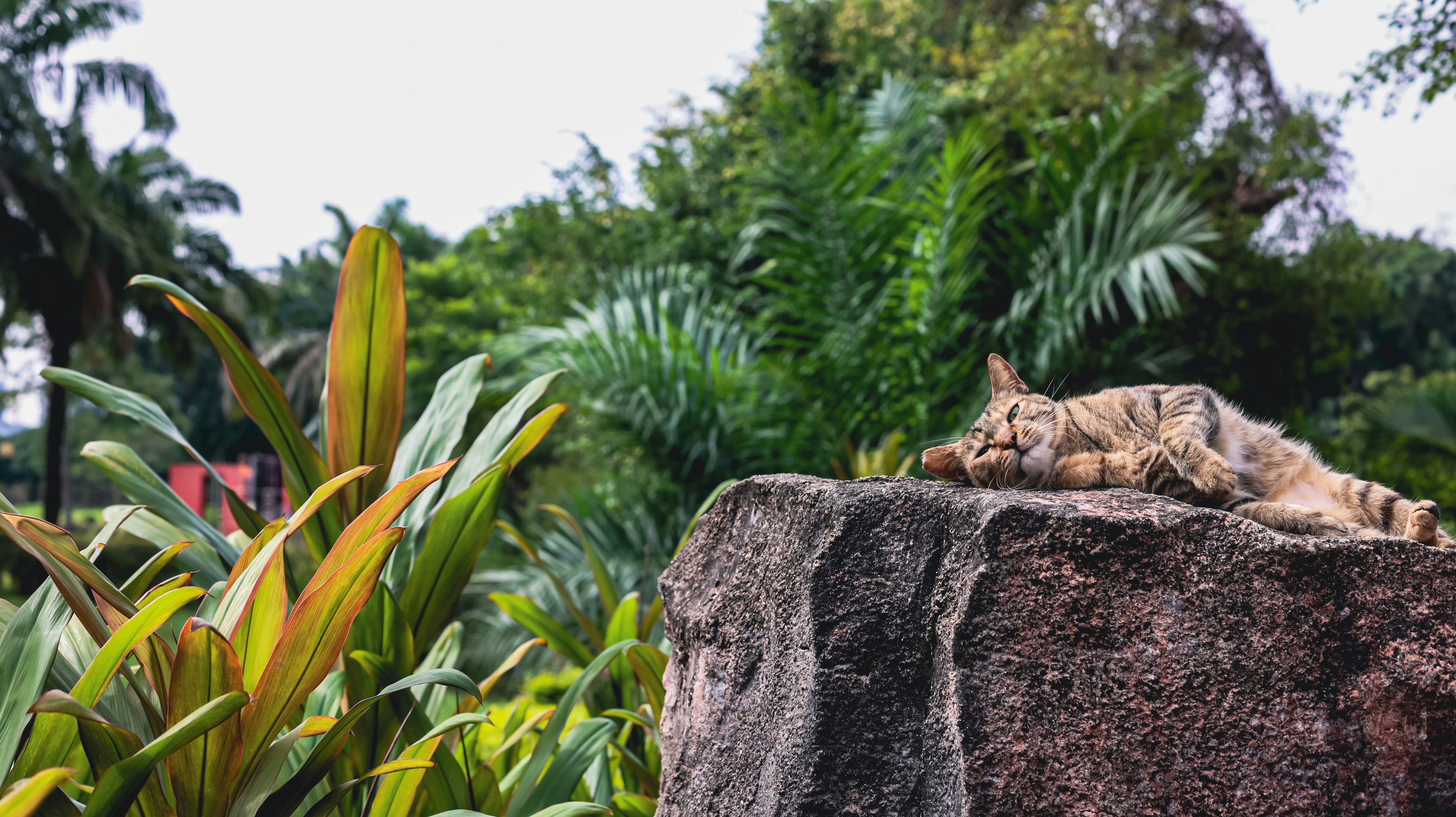 Photo by dickenslin76