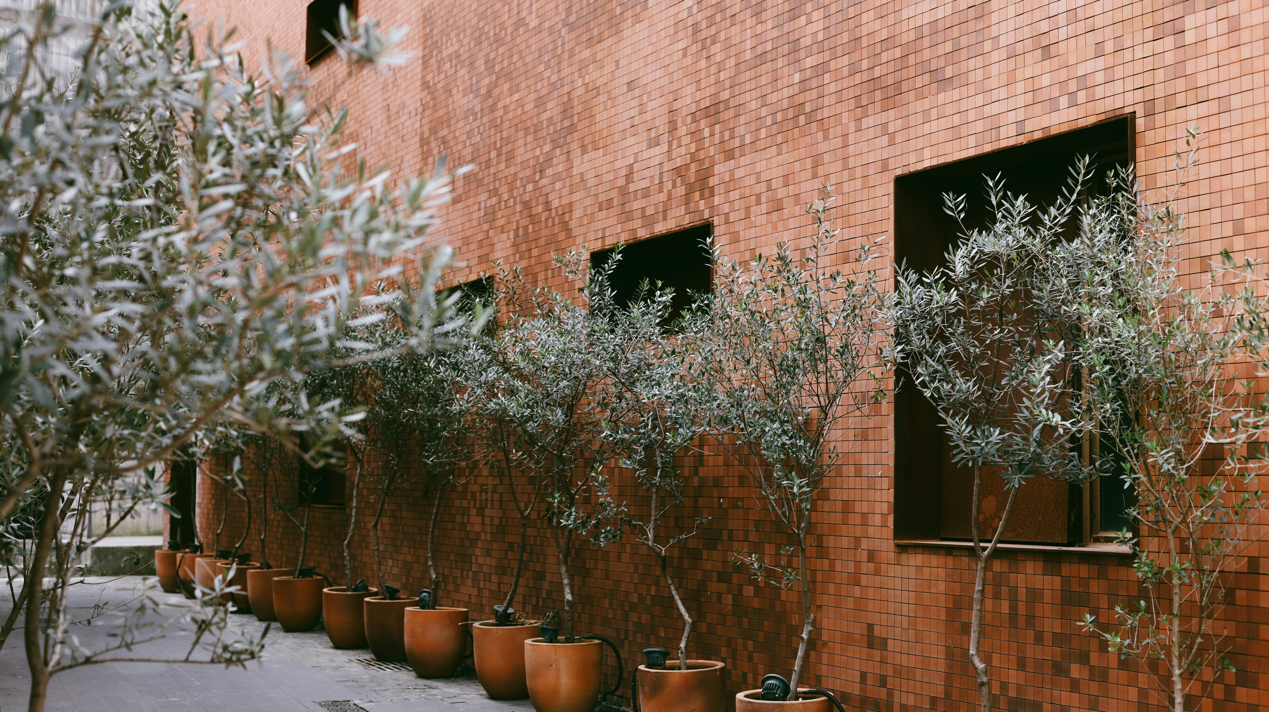 Photo by dickenslin76