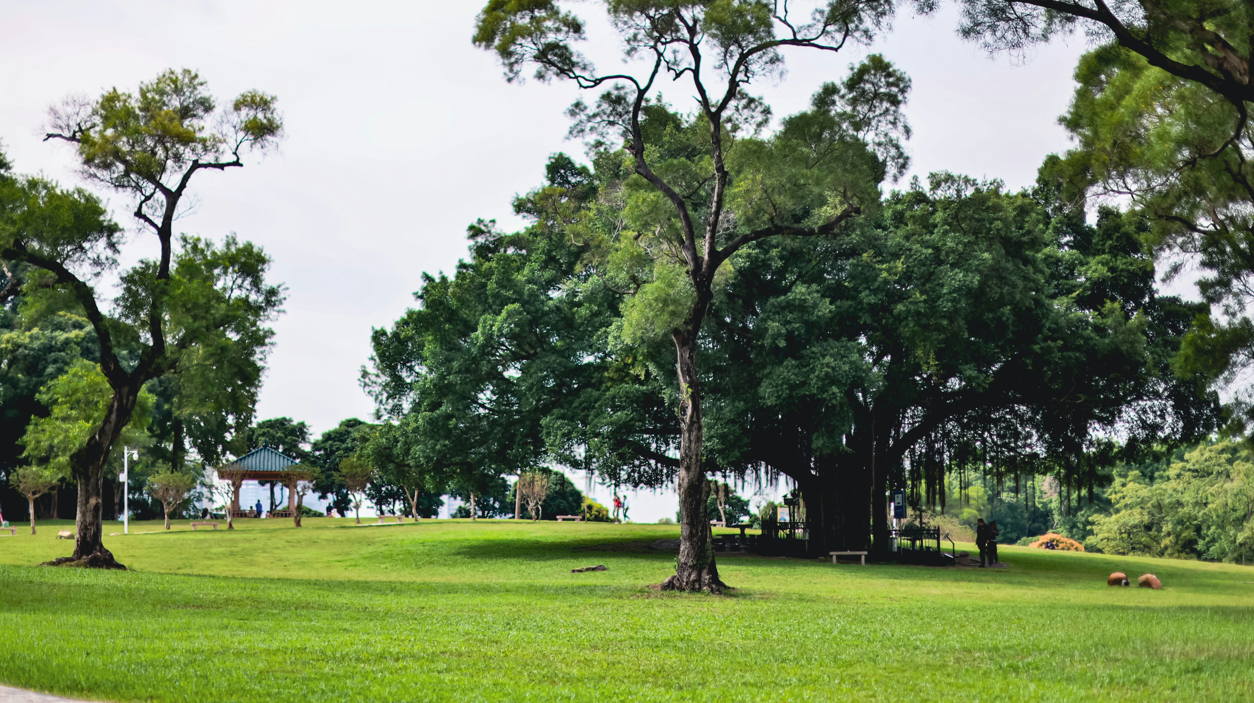 Photo by dickenslin76