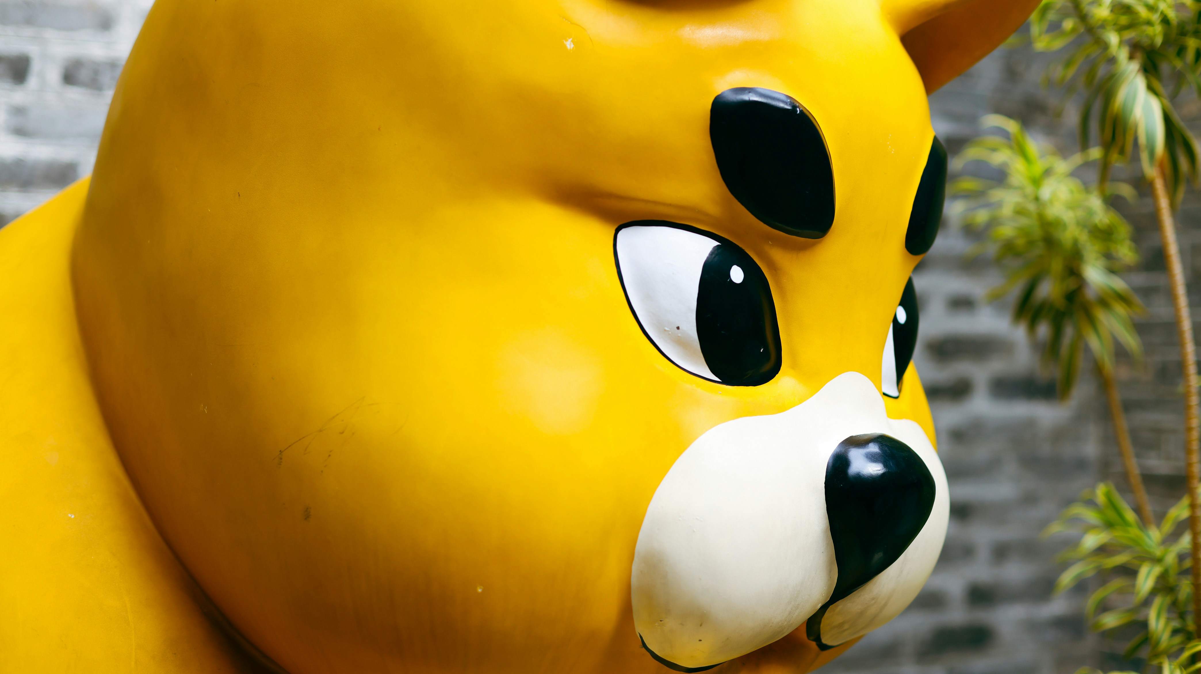 Photo by dickenslin76