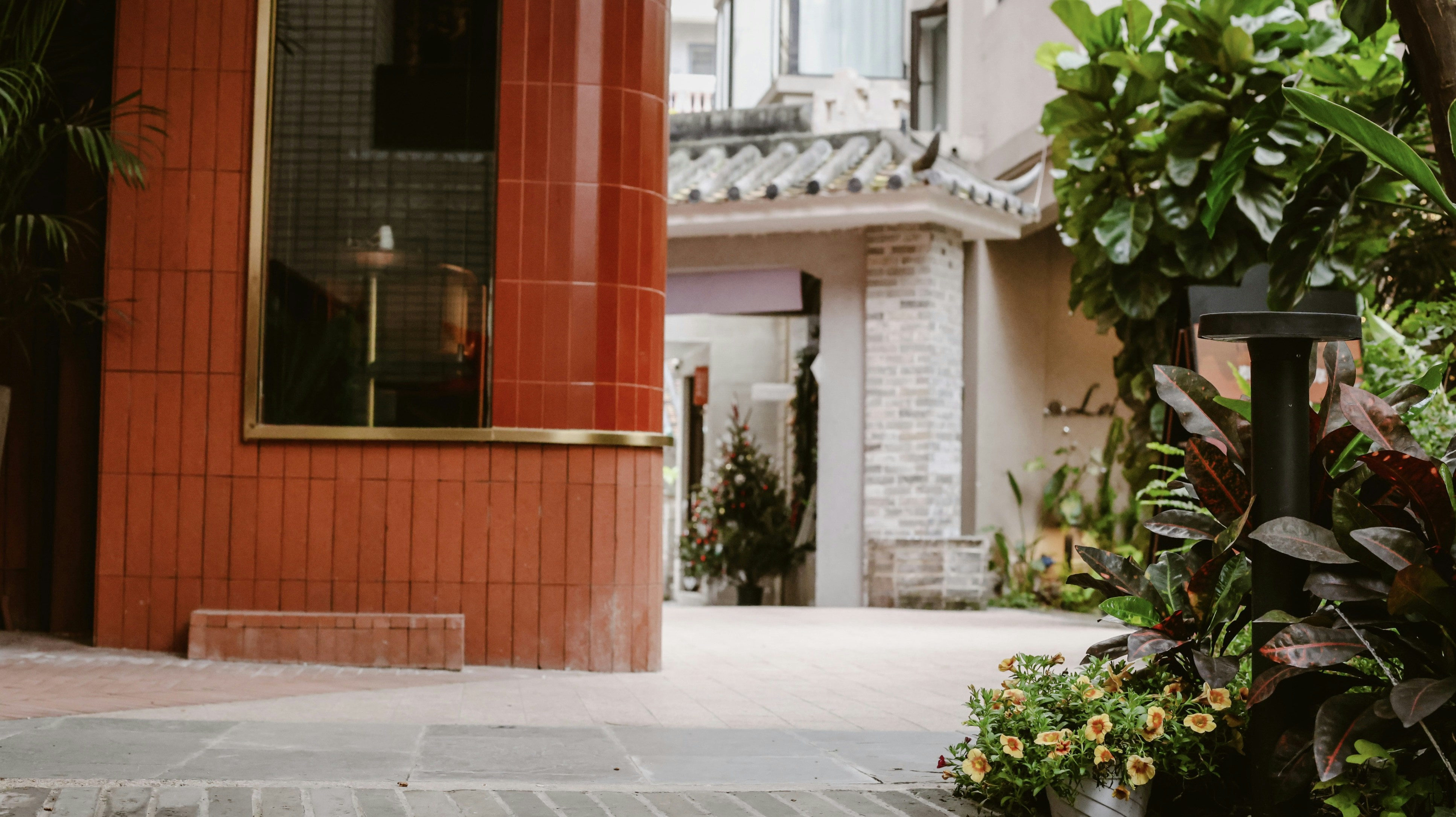 Photo by dickenslin76