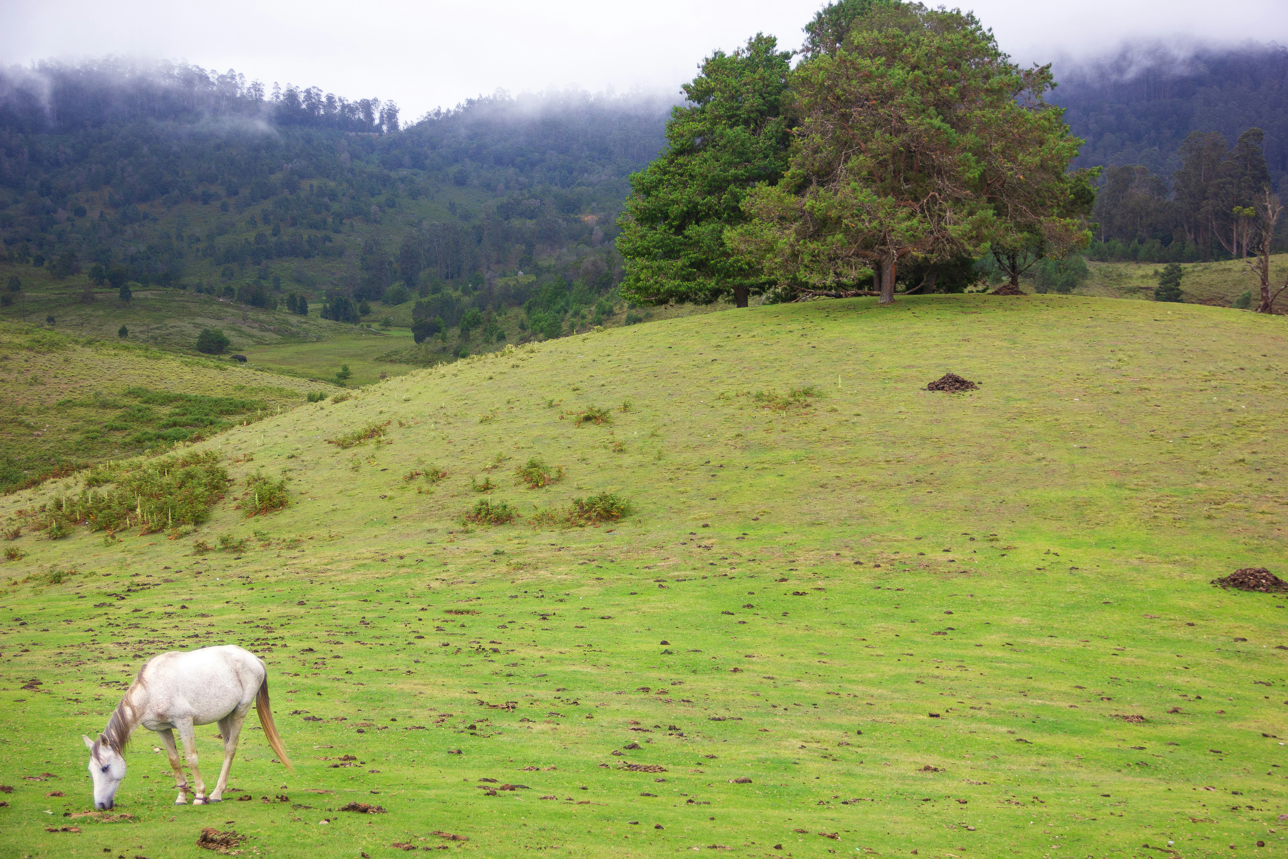 Photo by senthil_moorthy