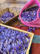 An artisan carefully handpicking saffron flowers in a traditional farming setting.