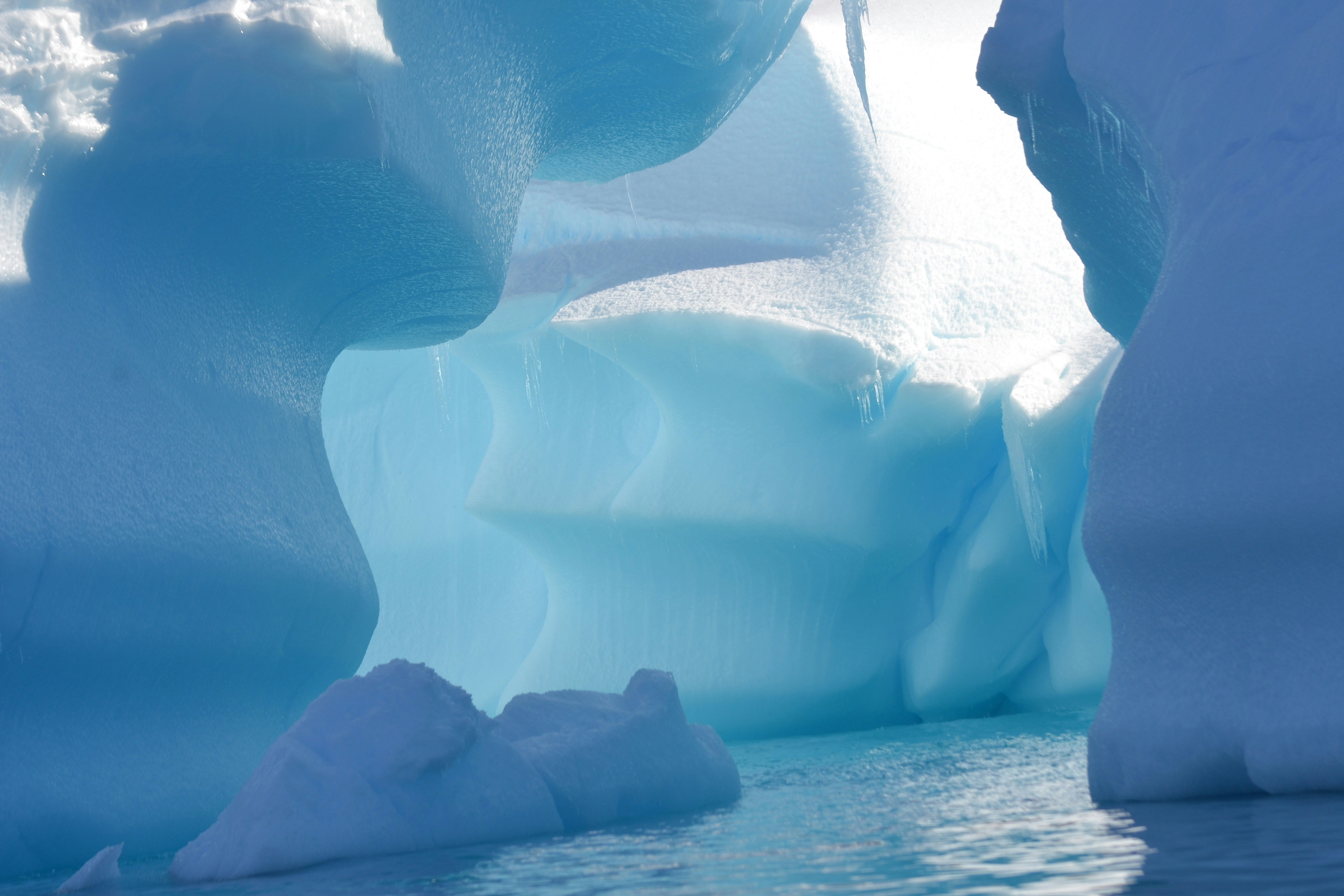 Photo by angiecorbettkuiper