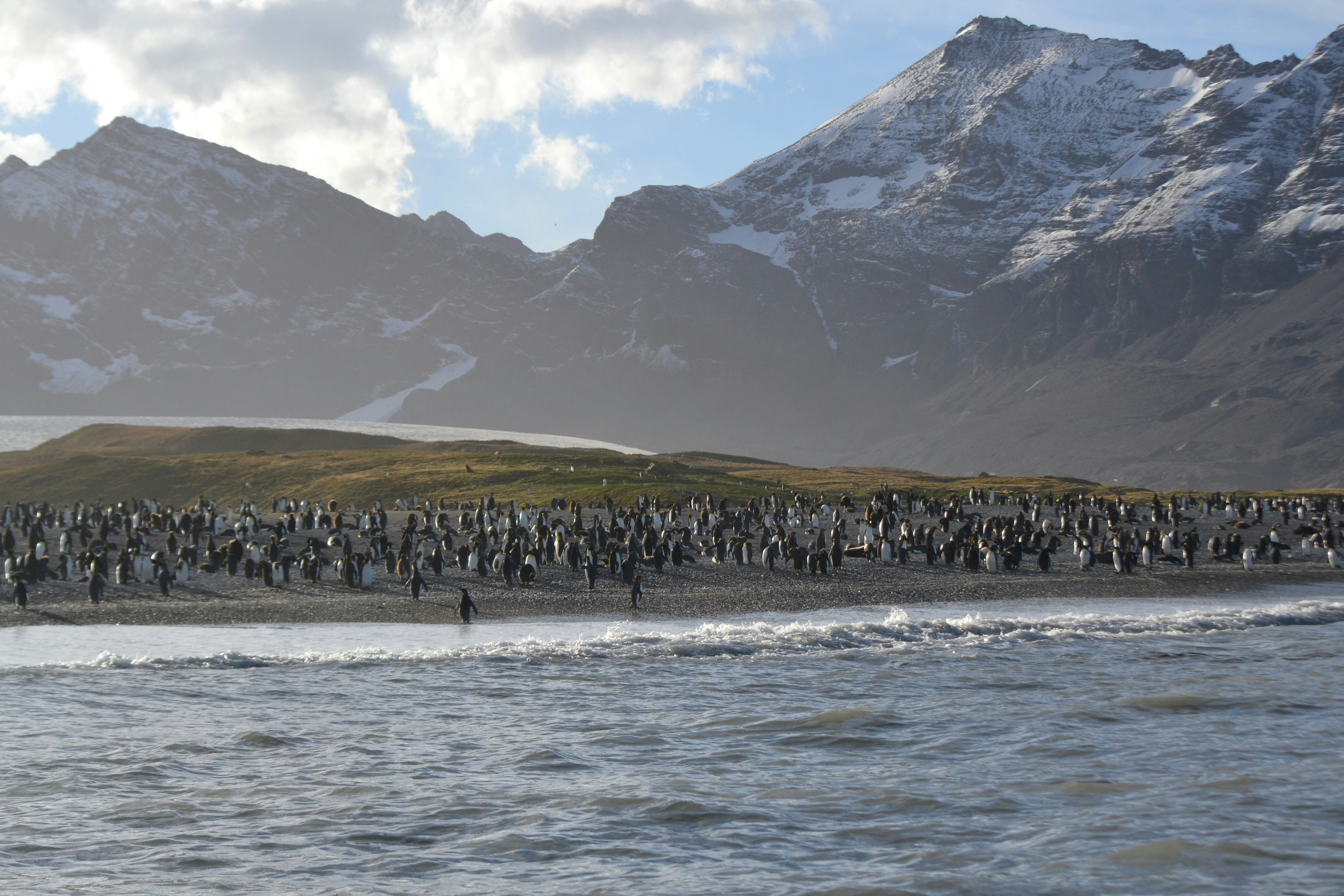 Photo by angiecorbettkuiper