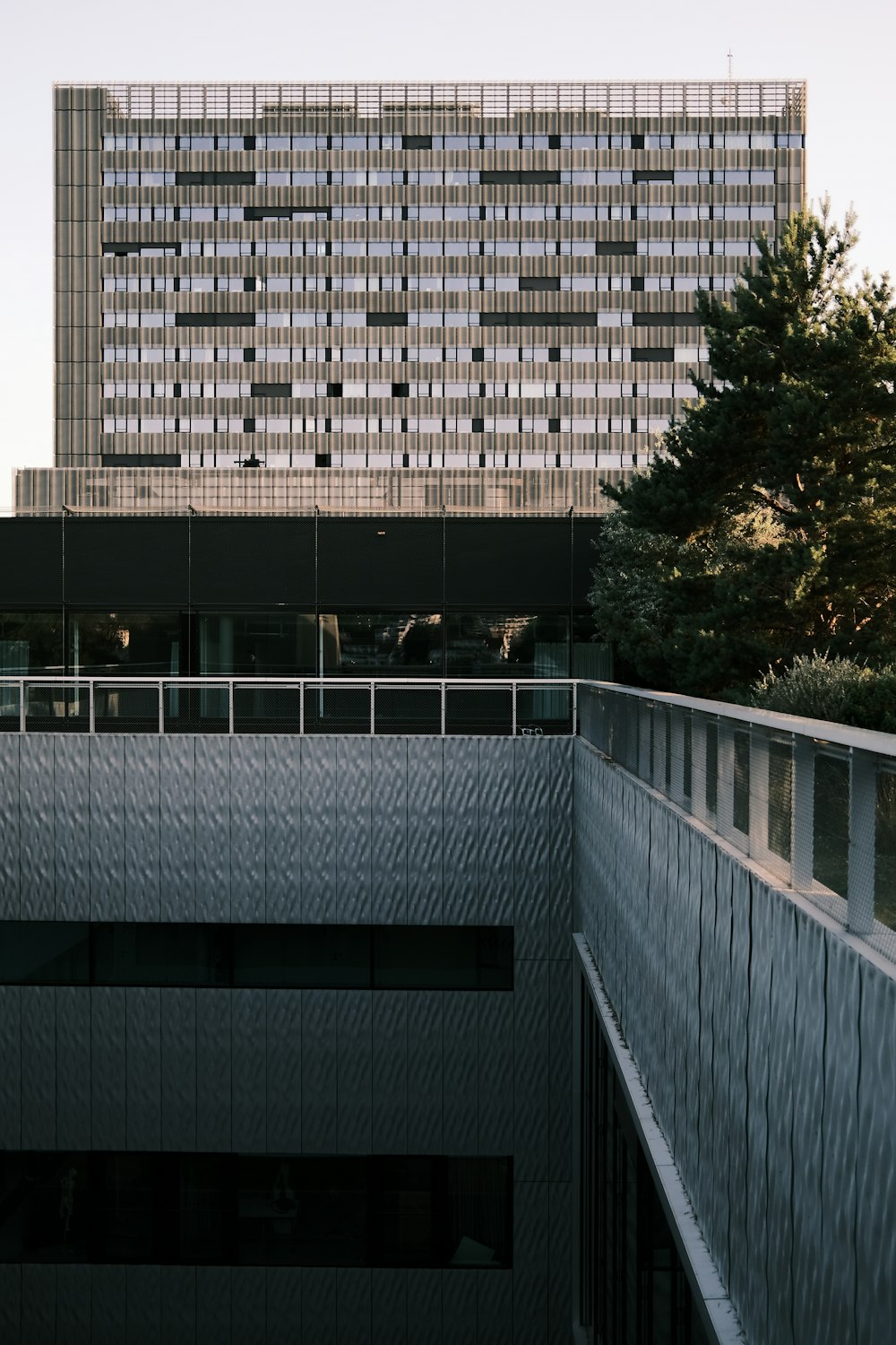 a building with a tree in the front