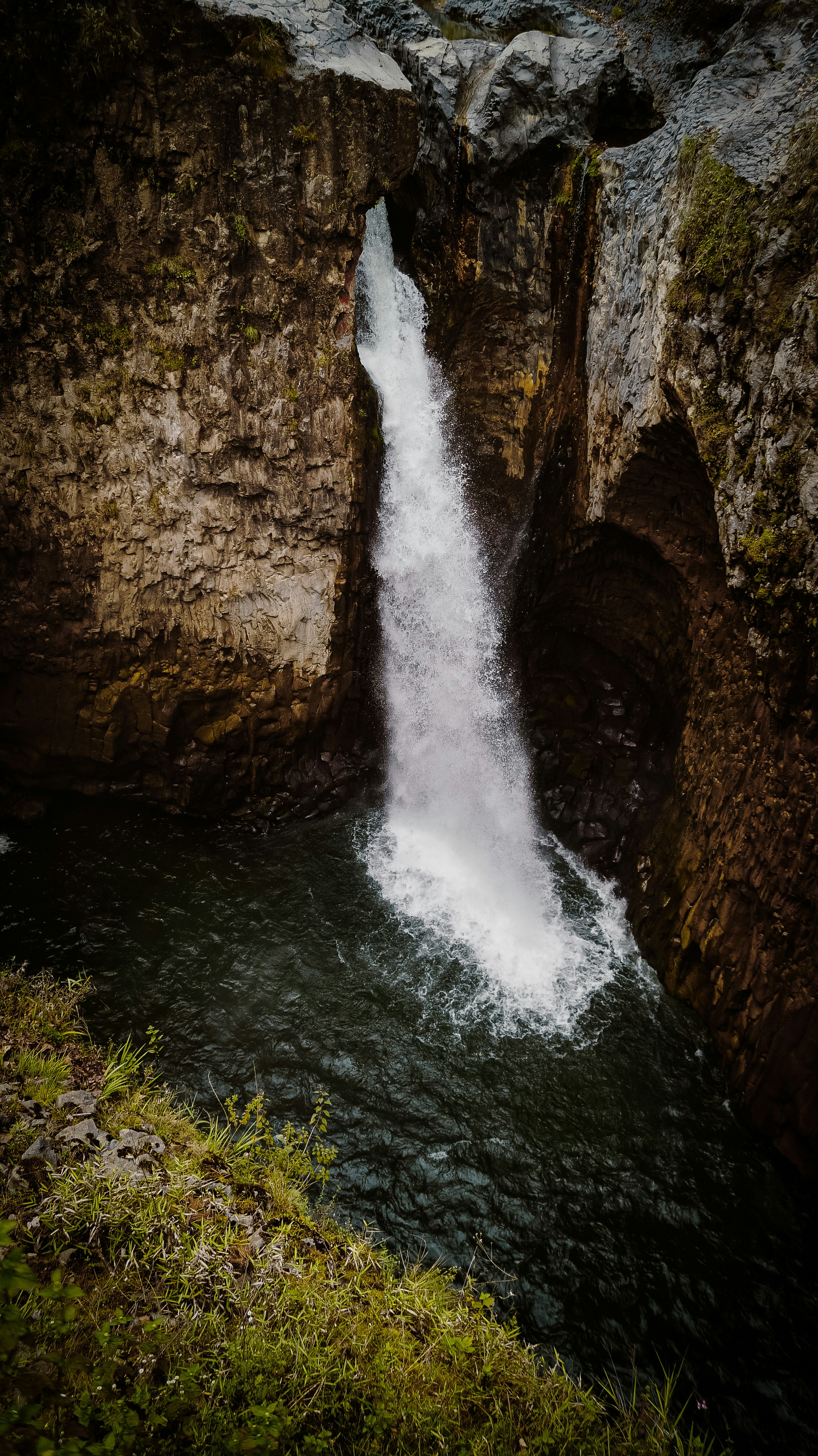 Photo by hialexxlarioss