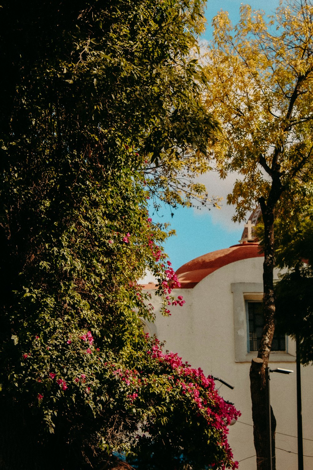 a building with trees around it